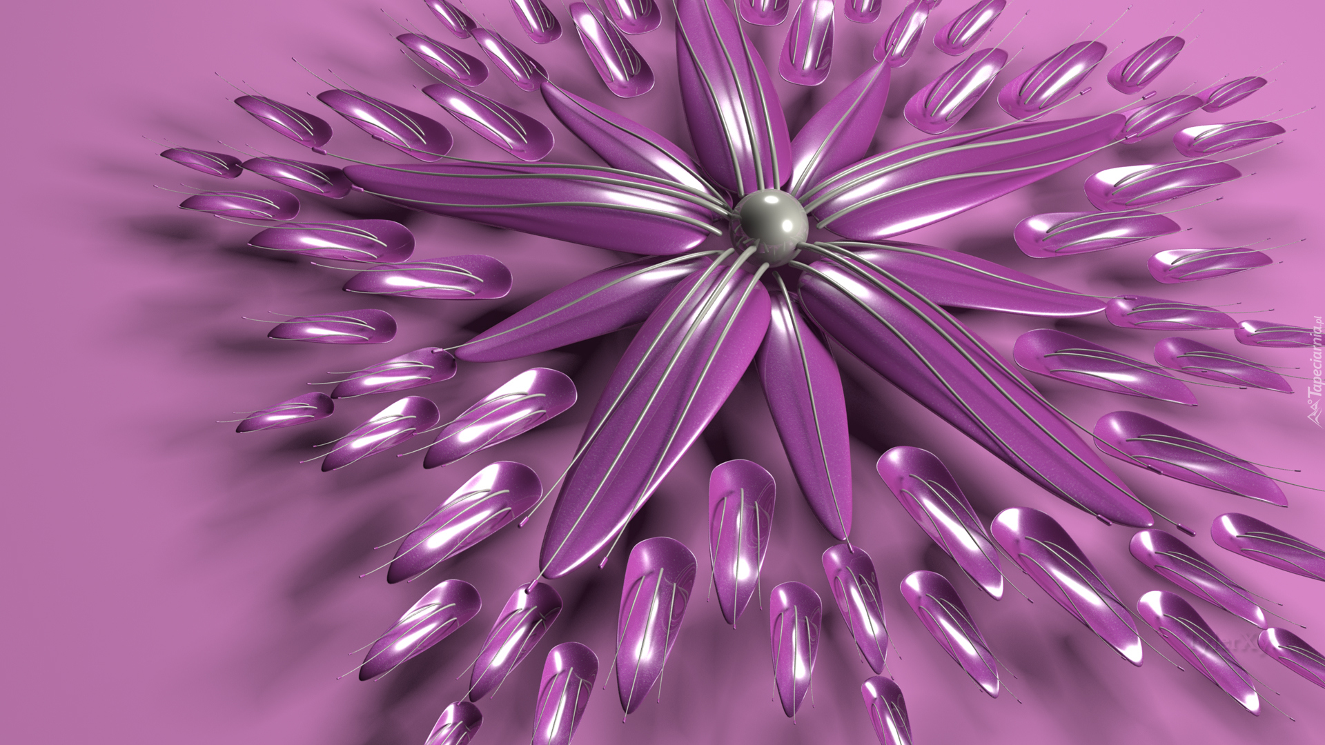 Grafika 3D, Fioletowy, Kwiat