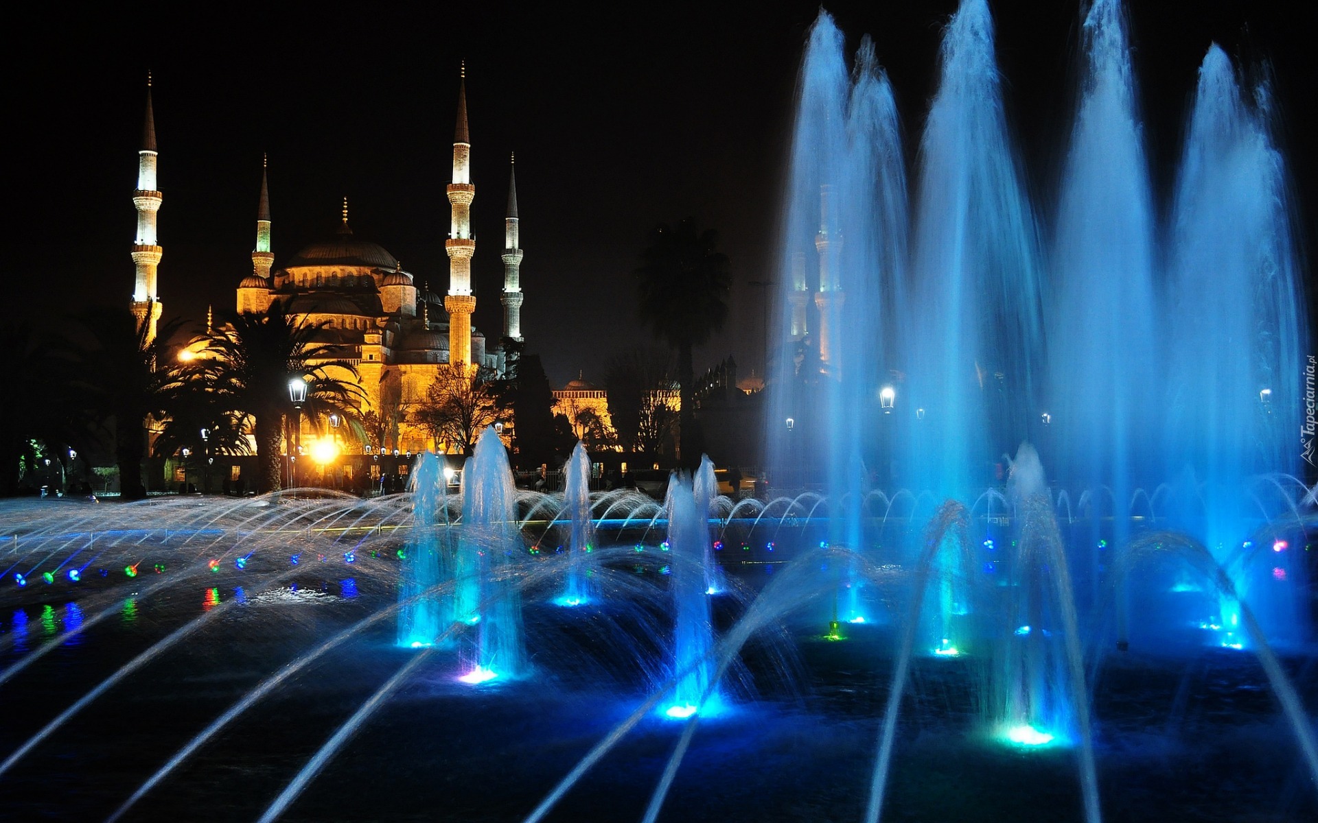 Turcja, Istambuł, Błękitny Meczet, Fontanna