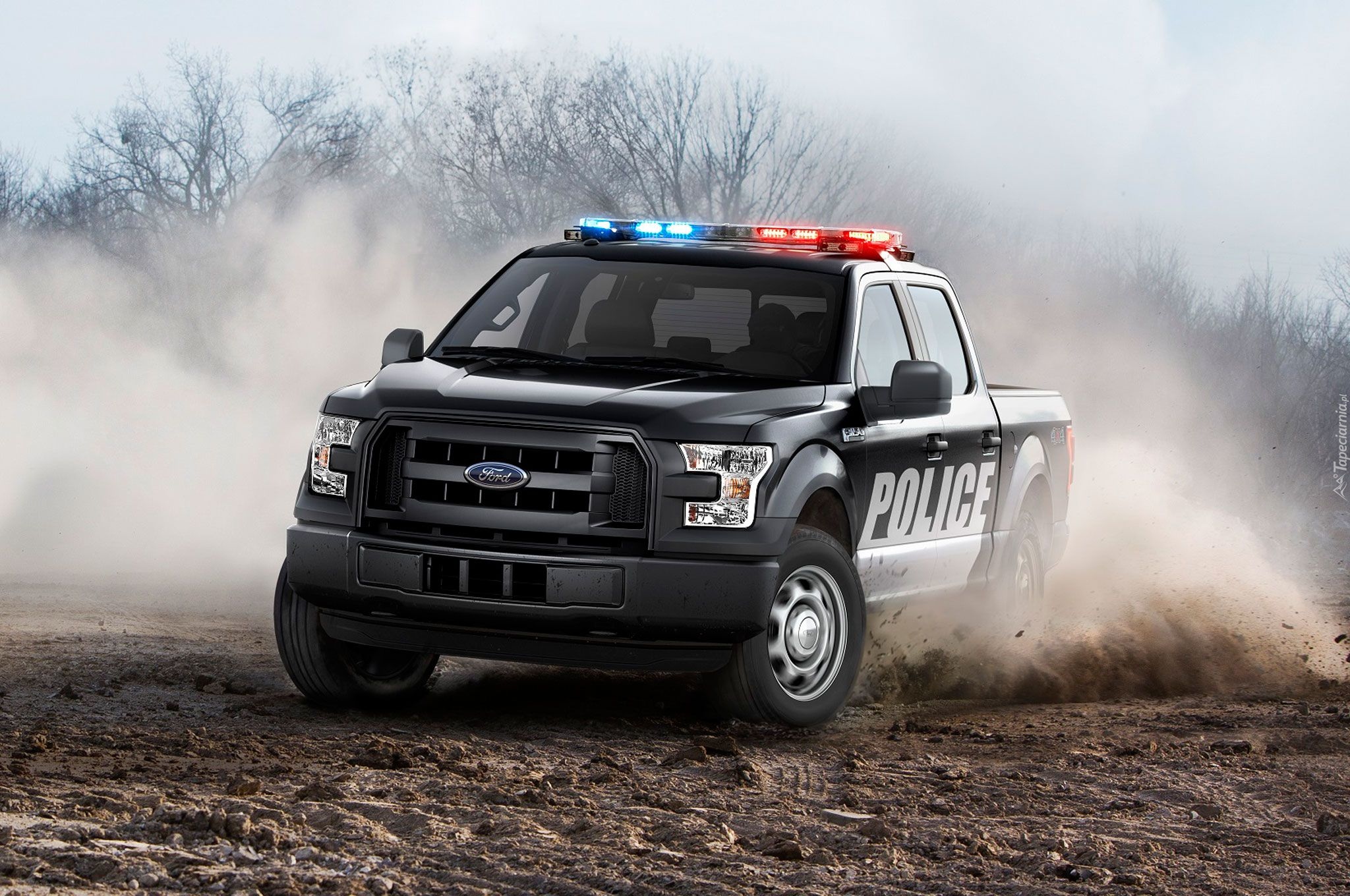 Samochód, Policyjny, Ford F-150 Special Service Vehicle, 2016