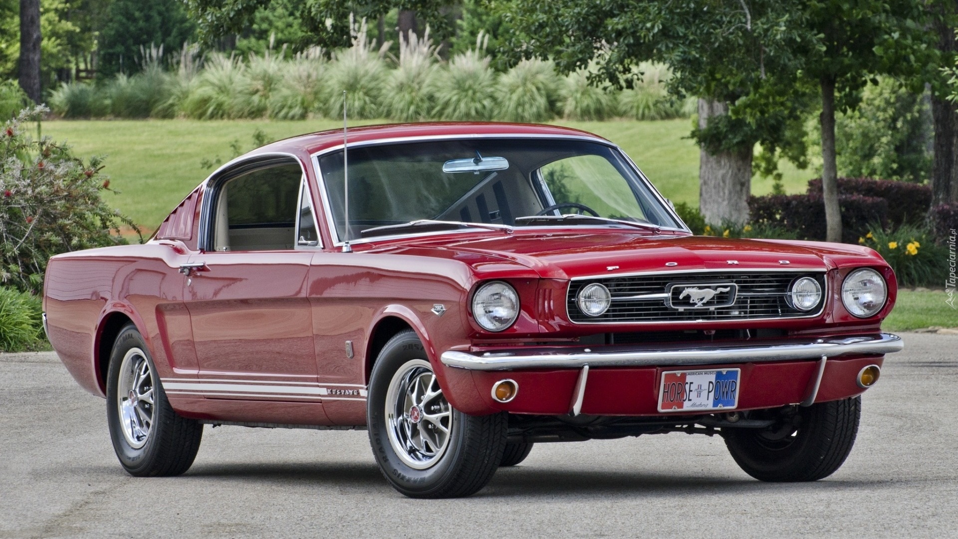 Czerwony, Ford Mustang, 1966, Zabytkowy