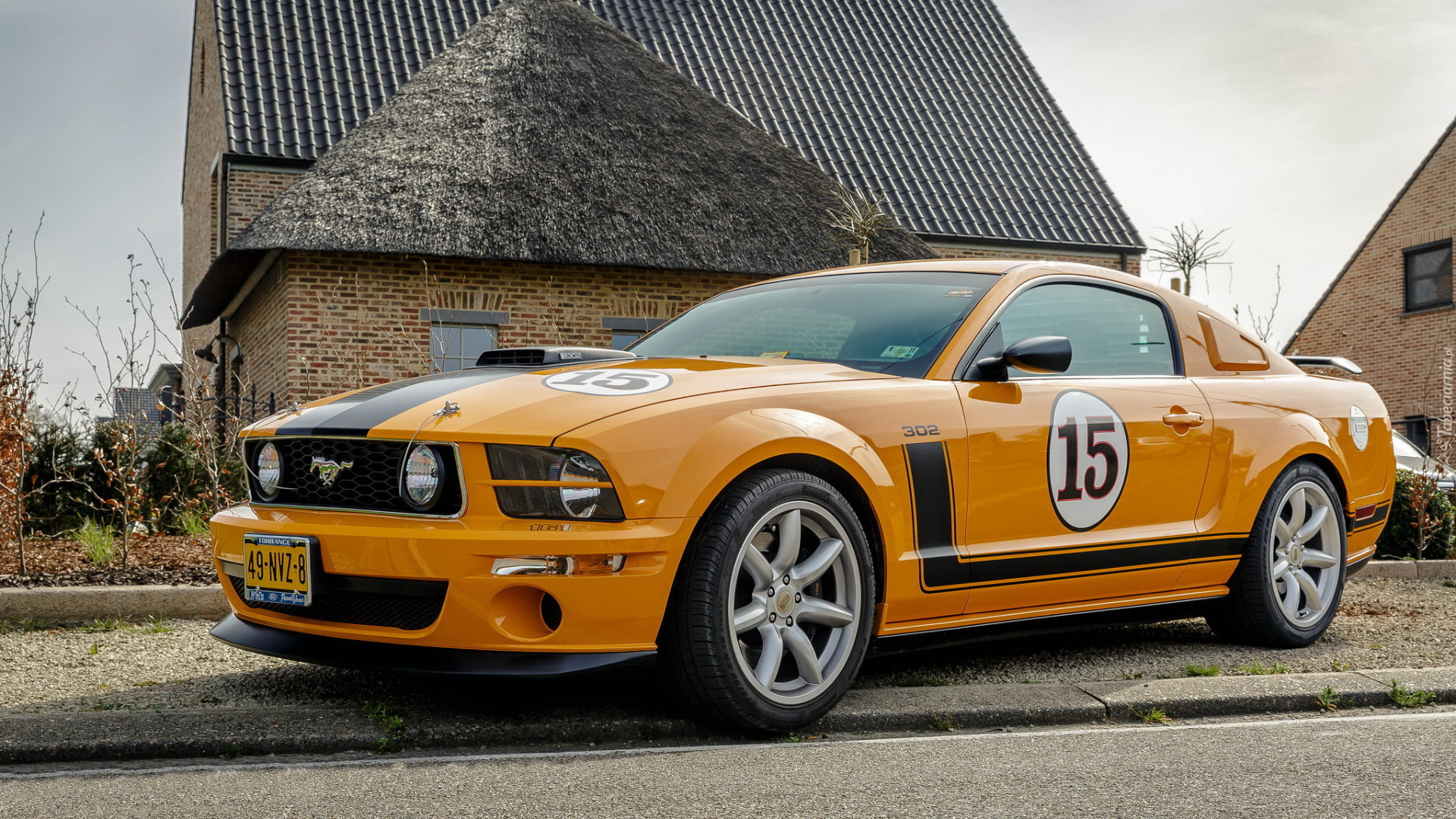 Ford Mustang 302, Saleen