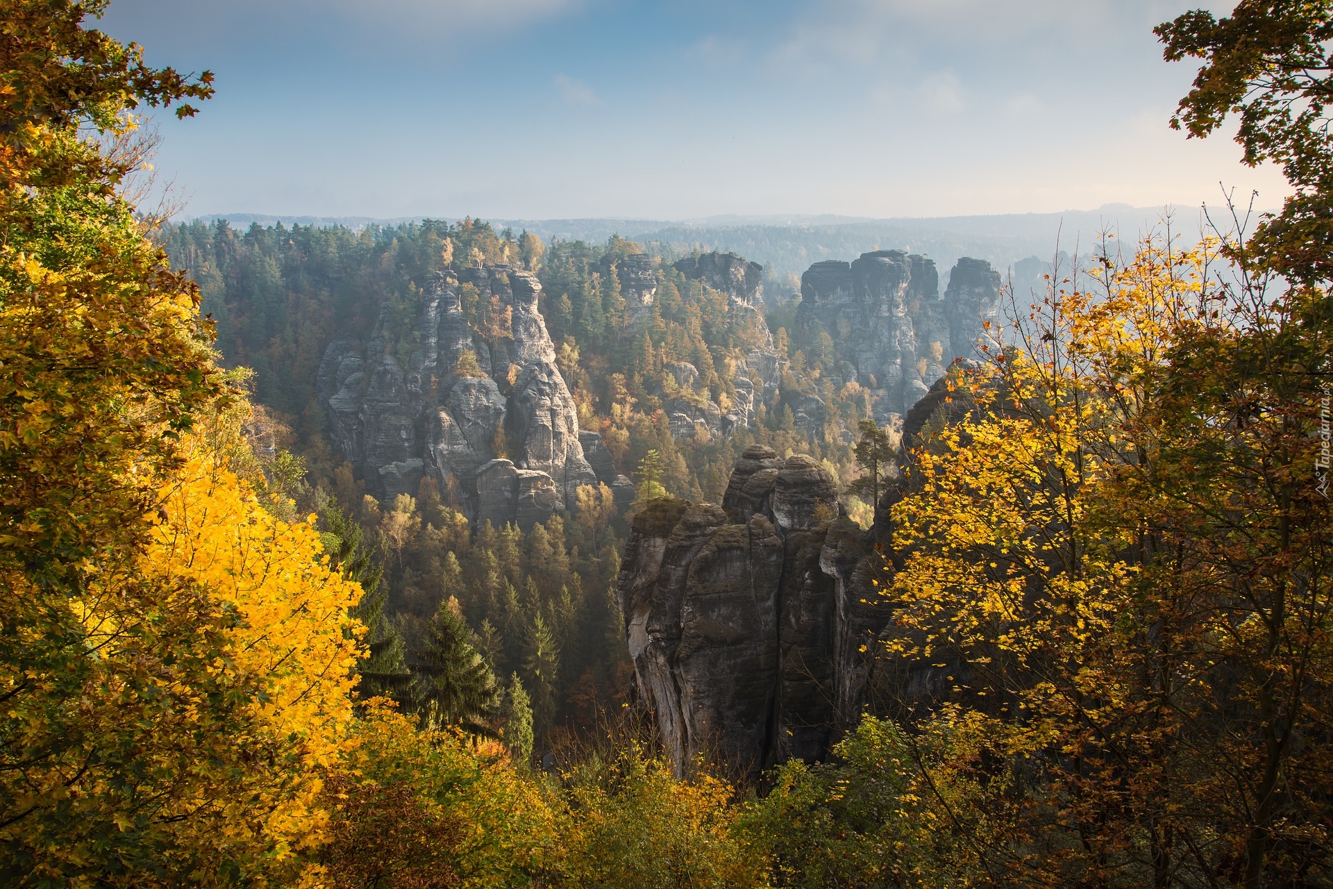 Niemcy, Góry Połabskie, Park Narodowy Saskiej Szwajcarii, Formacja skalna Bastei, Drzewa, Jesień