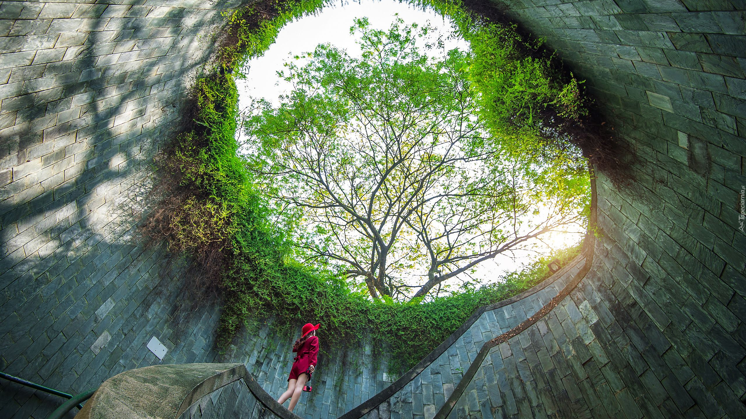 Kobieta, Drzewa, Rośliny, Fort Canning Park Tree Tunnel, Singapur