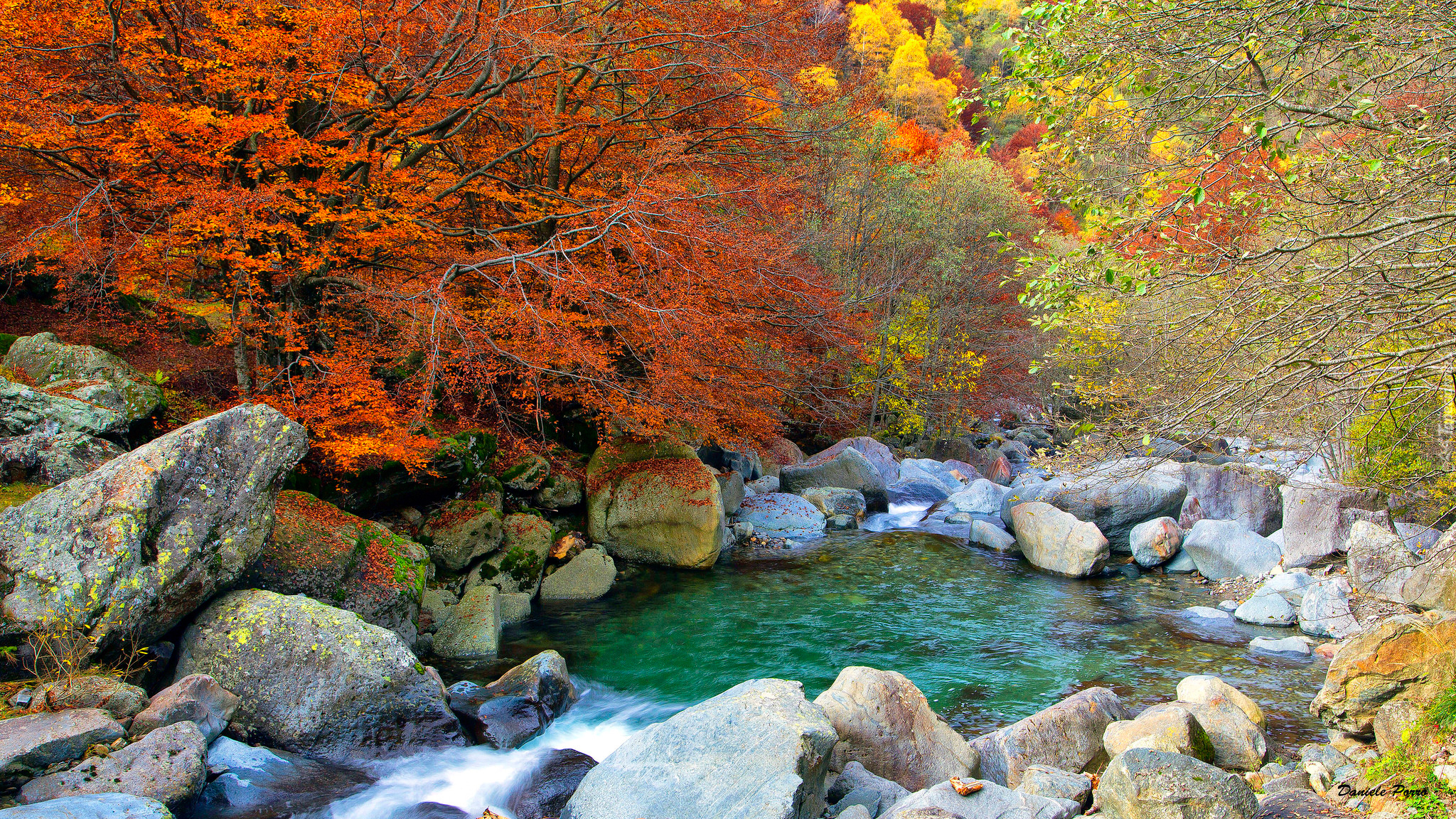 Jesień, Las, Drzewa, Kolorowe, Liście, Kamienie, Rzeka