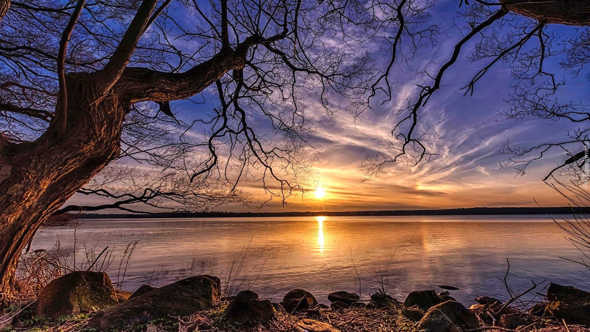 Jezioro, Wschód słońca, Drzewo