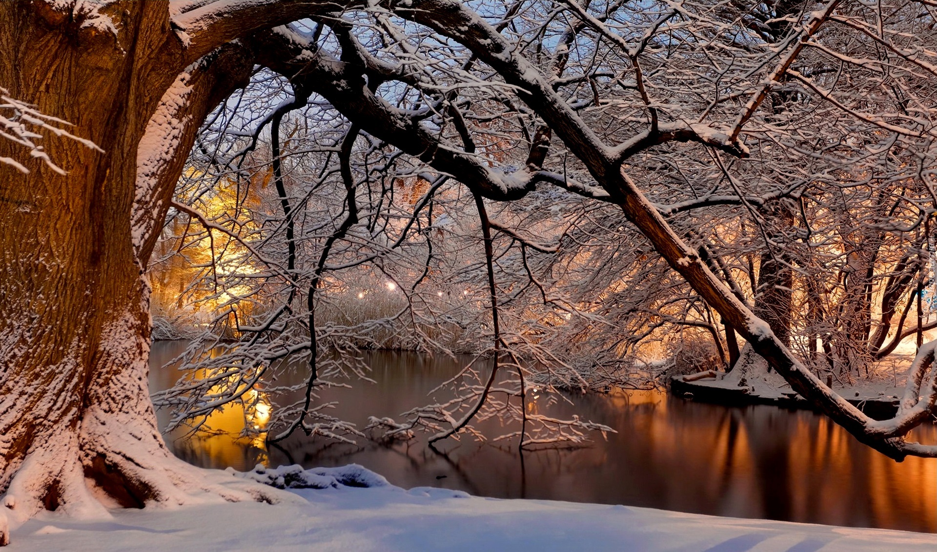 Zima, Rzeka, Drzewo, Gałęzie
