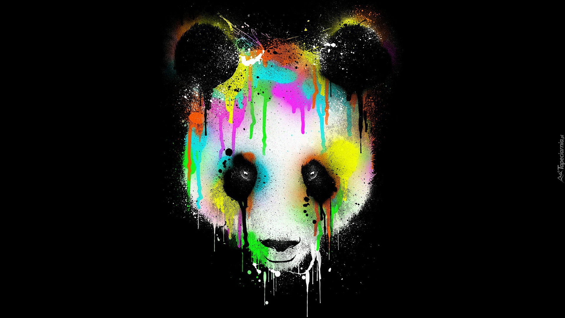 Grafika, Panda