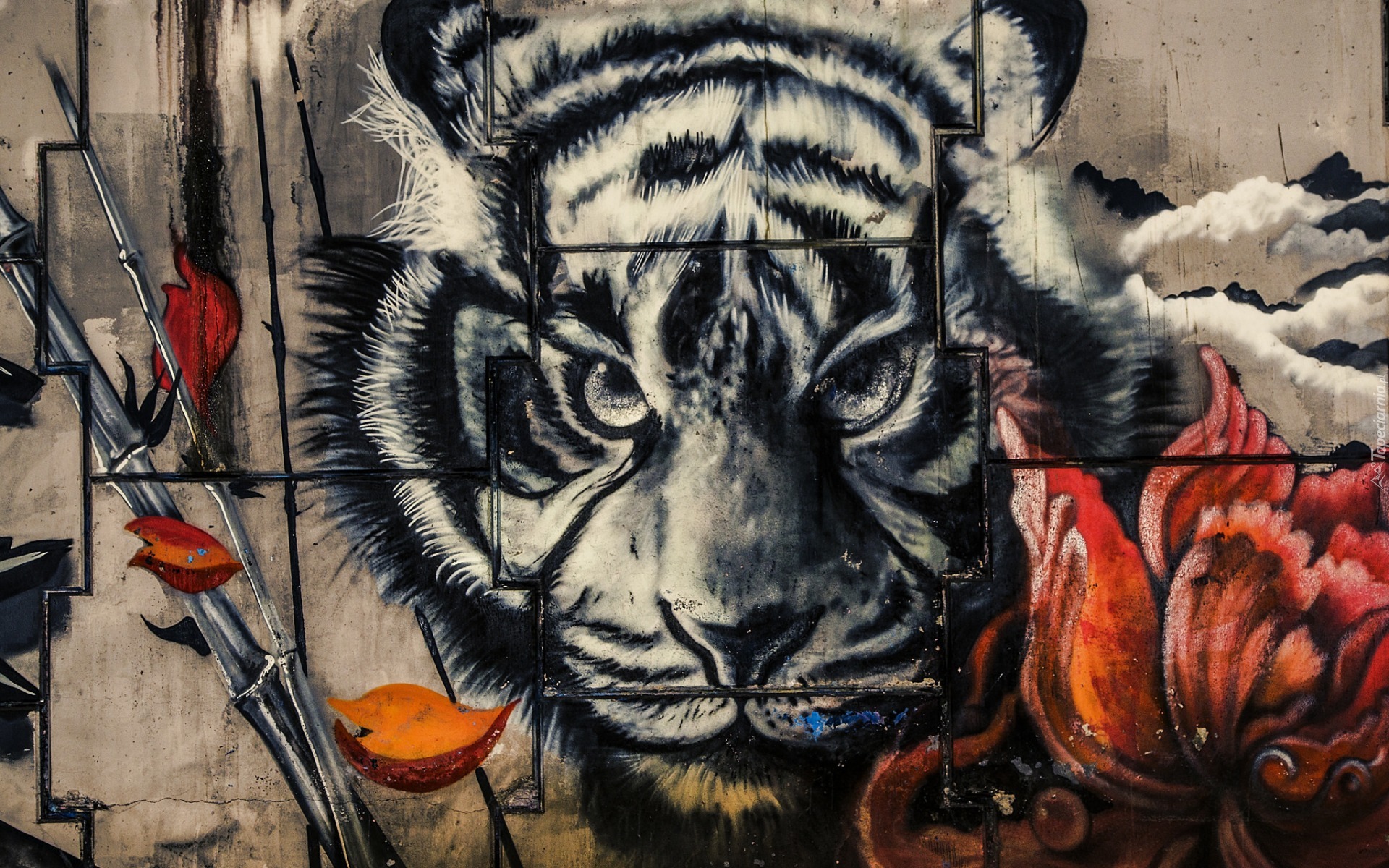 Mural, Głowa, Tygrys, Ściana, Kwiat