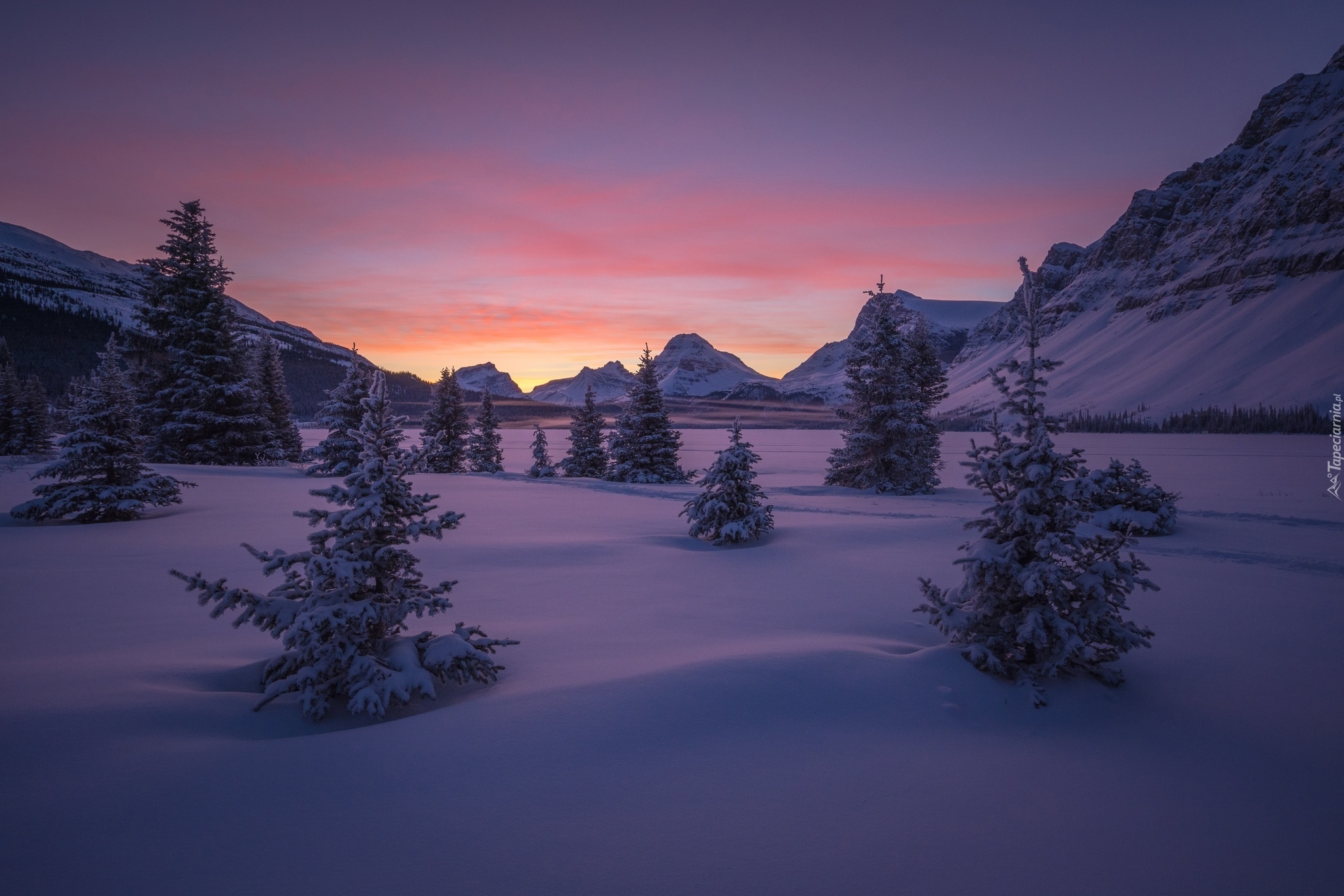 Kanada, Alberta, Park Narodowy Banff, Góra Crowfoot Mountain, Góry, Zima, Zamarznięte, Jezioro Bow Lake, Zachód słońca, Drzewa