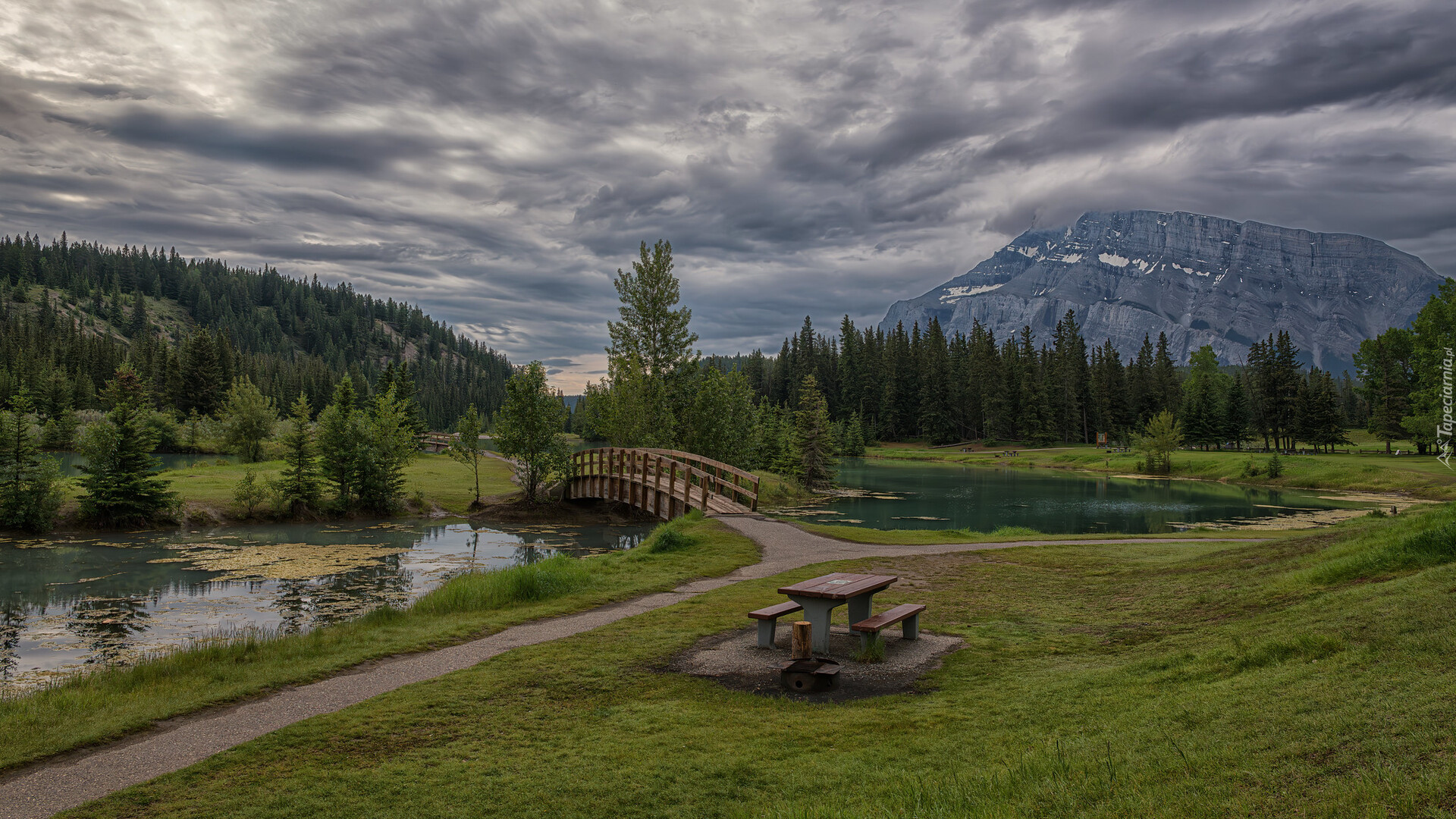Góry, Góra, Mount Rundle, Drzewa, Staw, Mostek, Park Narodowy Banff, Alberta, Kanada