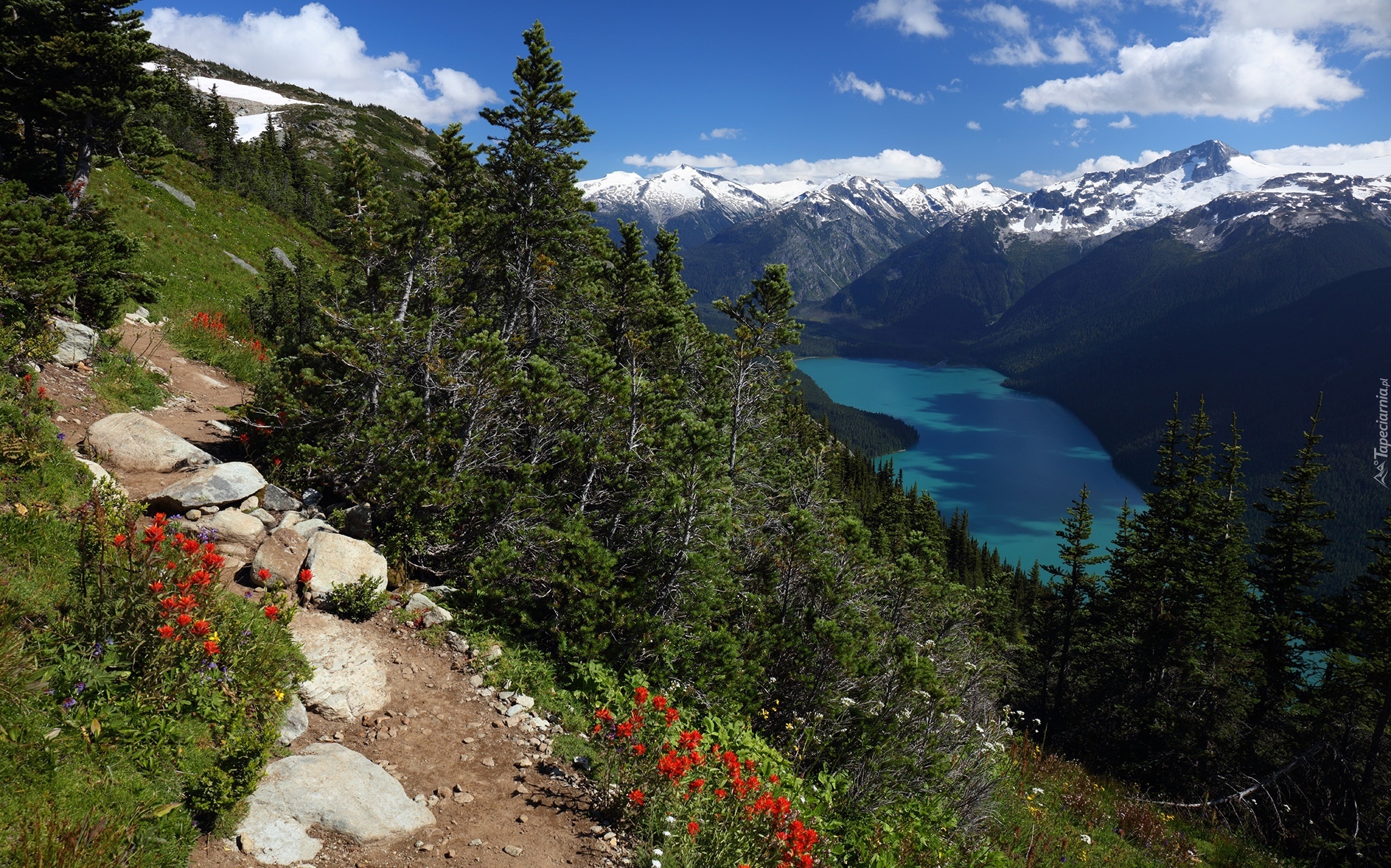 Kanada, Kolumbia Brytyjska, Jezioro Cheakamus, Park Prowincjonalny Garibaldi, Góry, Ścieżka