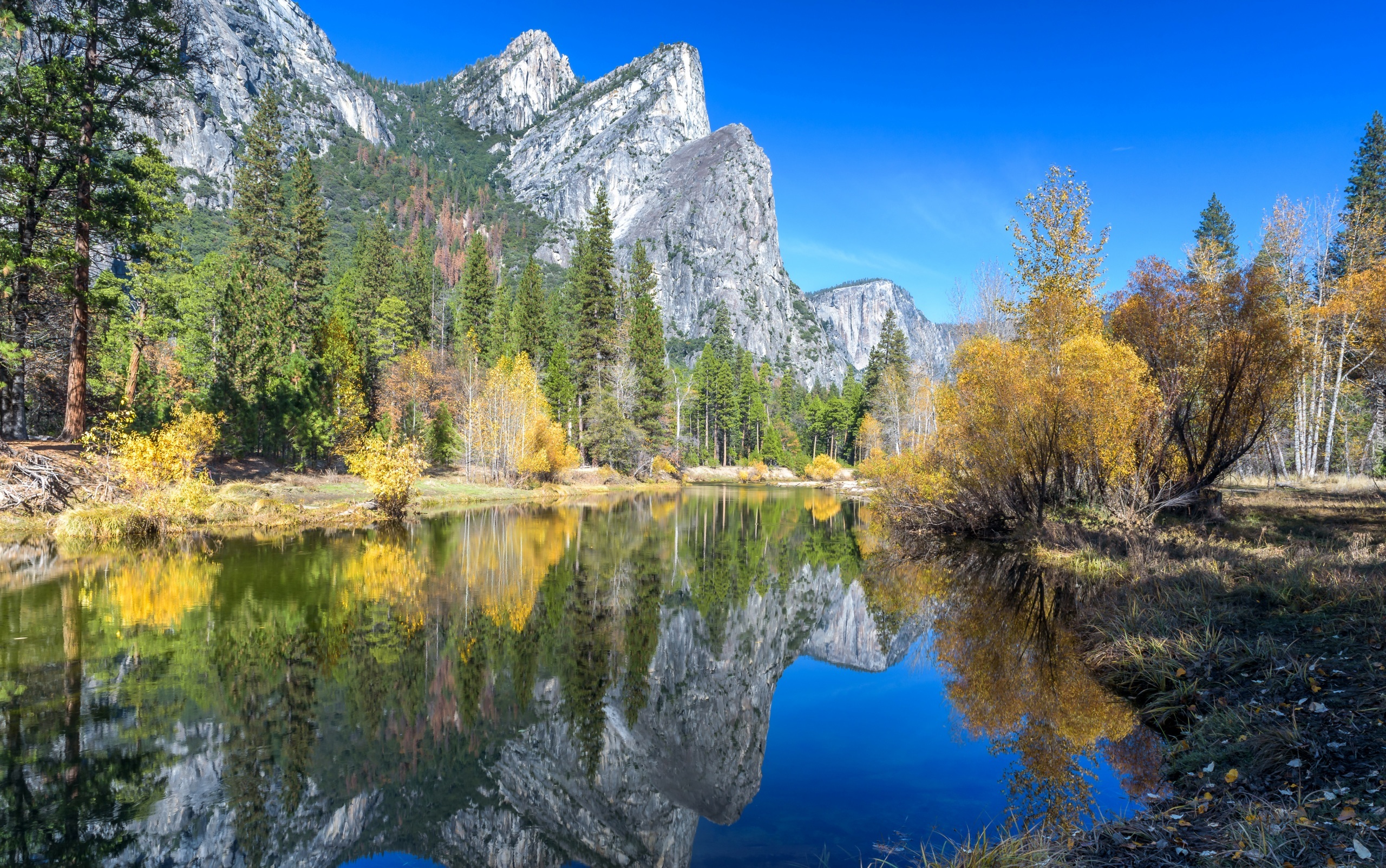 Stany Zjednoczone, Park Narodowy Yosemite, Kalifornia, Jezioro, Góry, Drzewa