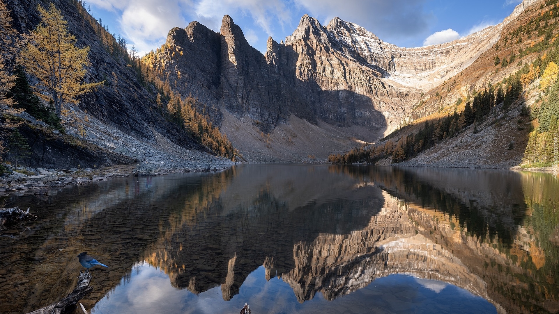 Jezioro, Agnes Lake, Góry, Drzewa, Ptak, Park Narodowym Banff, Prowincja, Alberta, Kanada