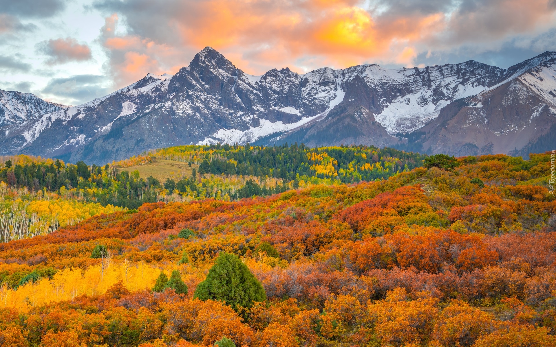 Góry, San Juan Mountains, Las, Drzewa, Chmury, Jesień, Kolorado, Stany Zjednoczone