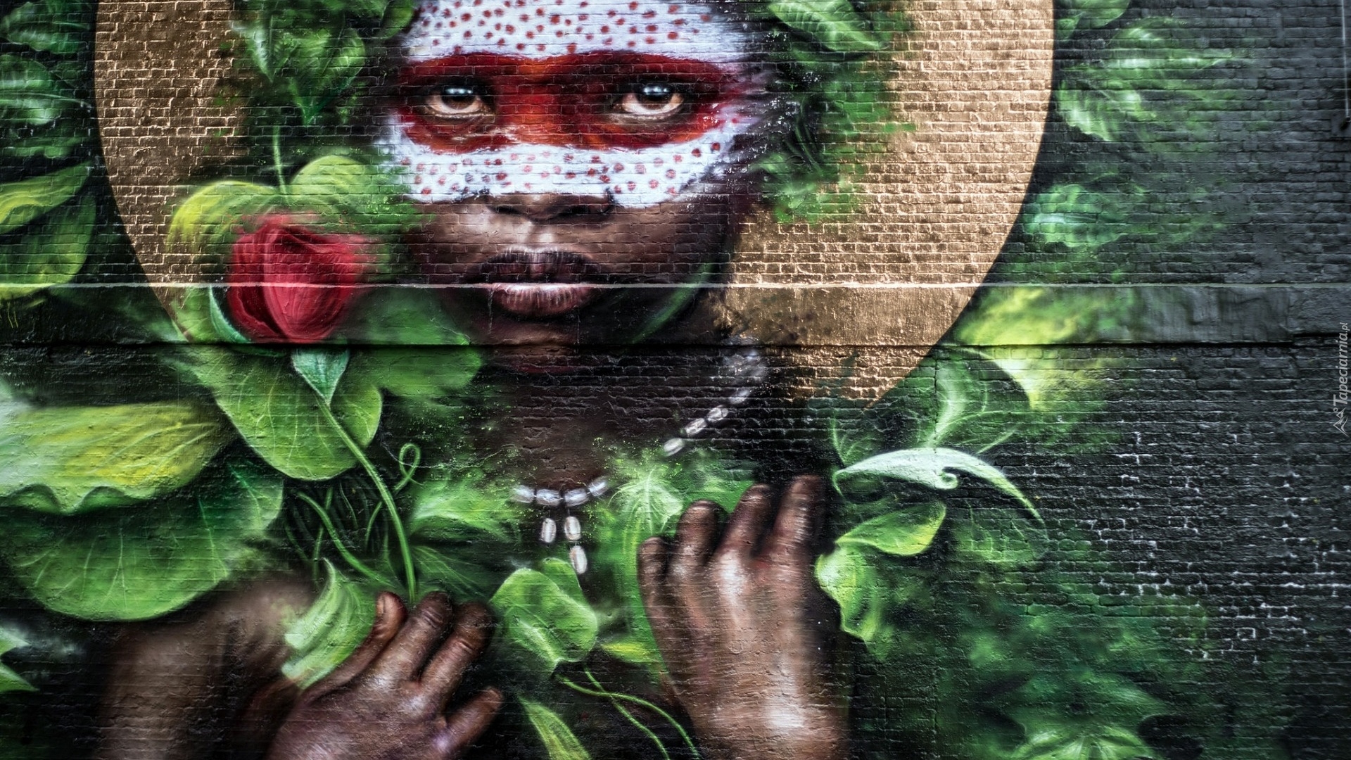 Ściana, Kobieta, Róża, Street art