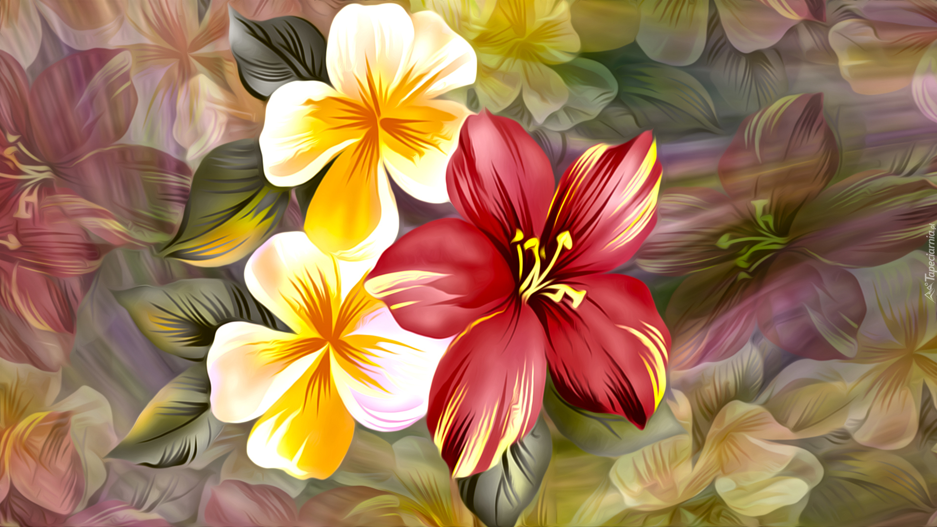 Kwiaty, Grafika 2D, Kolorowe tło