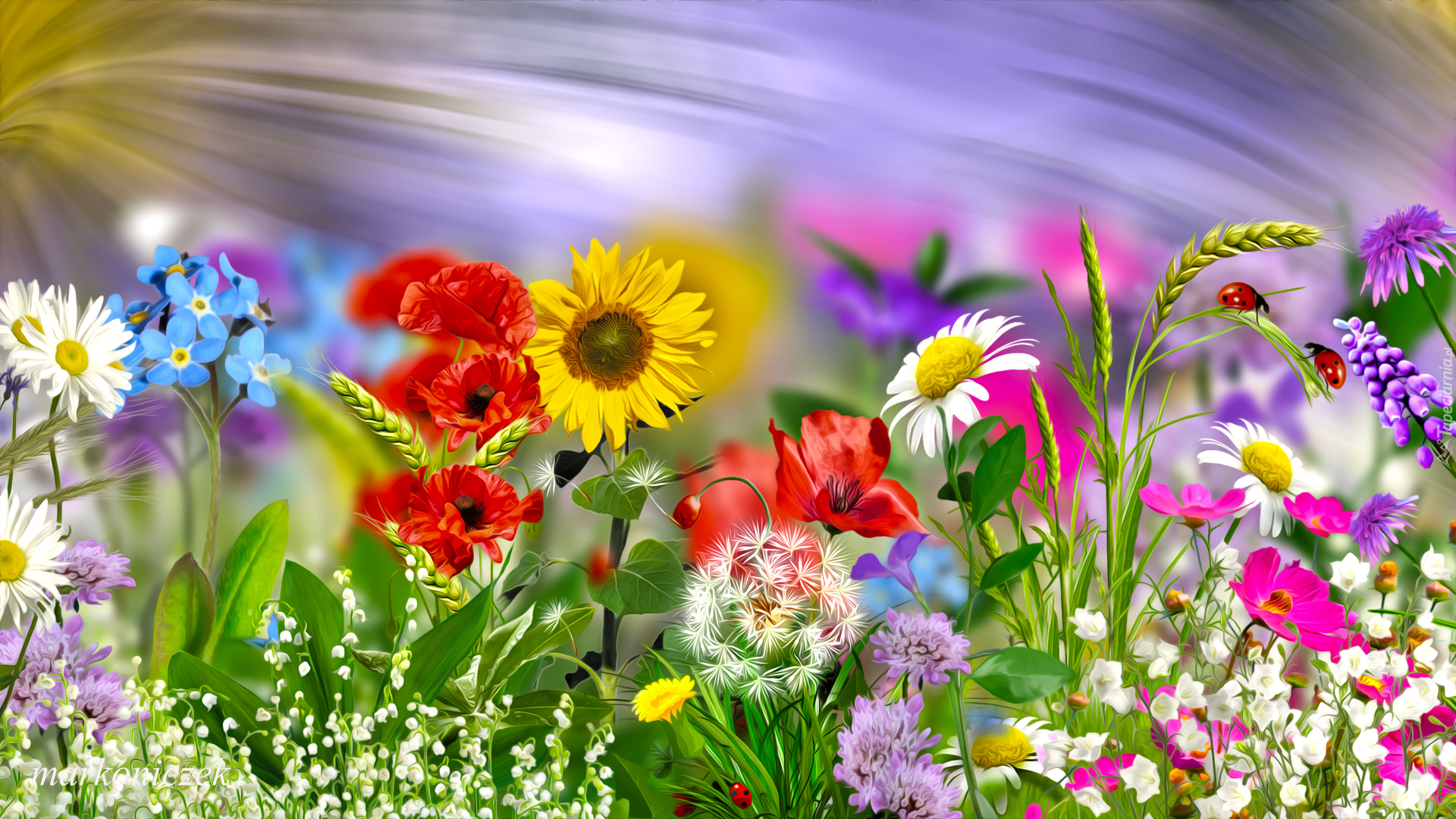 Kolorowe, Kwiaty, Biedronki, Grafika