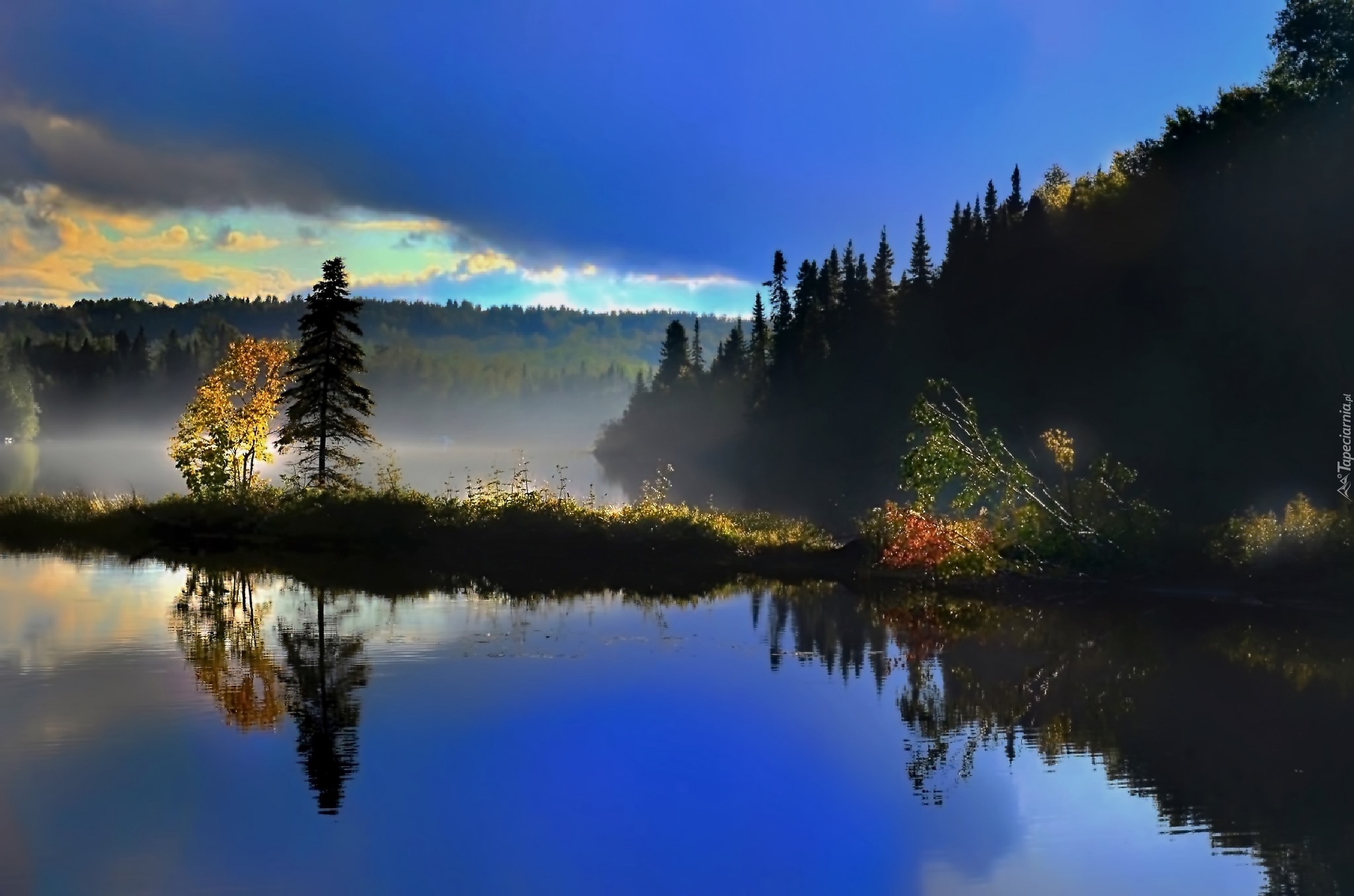 Jezioro, Grobla, Drzewa, Odbicie, Mgła, Jesień