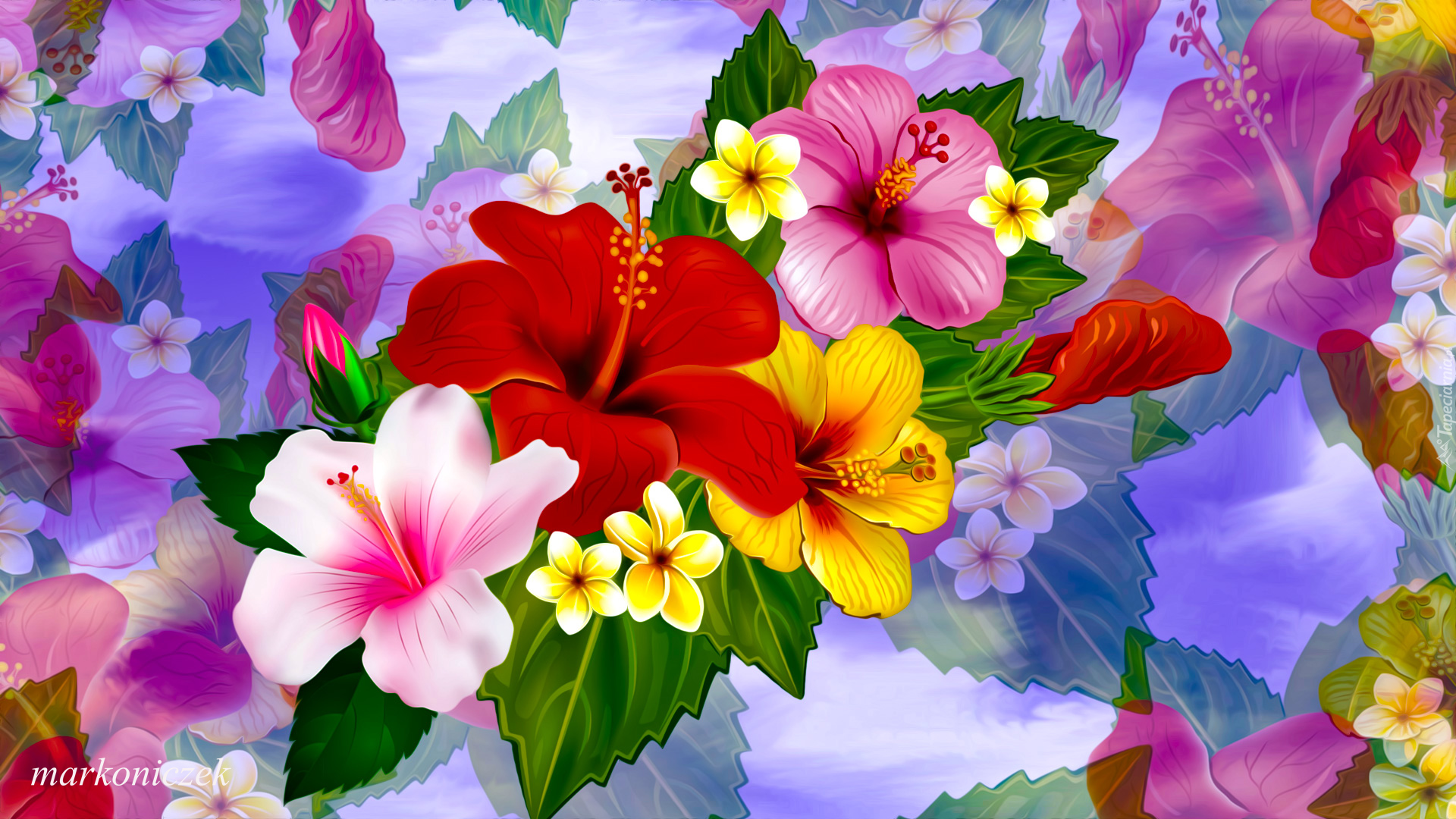 Kwiaty, Kolorowe, Hibiskusy, Grafika