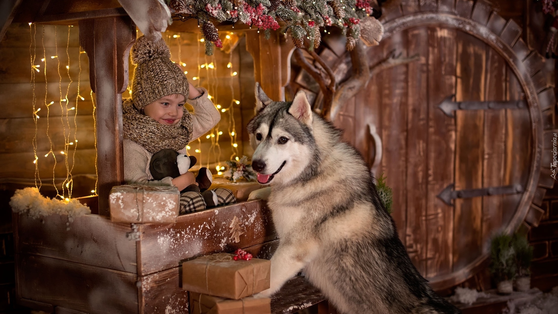Dziecko, Pies, Siberian husky, Świątecznie, Światełka
