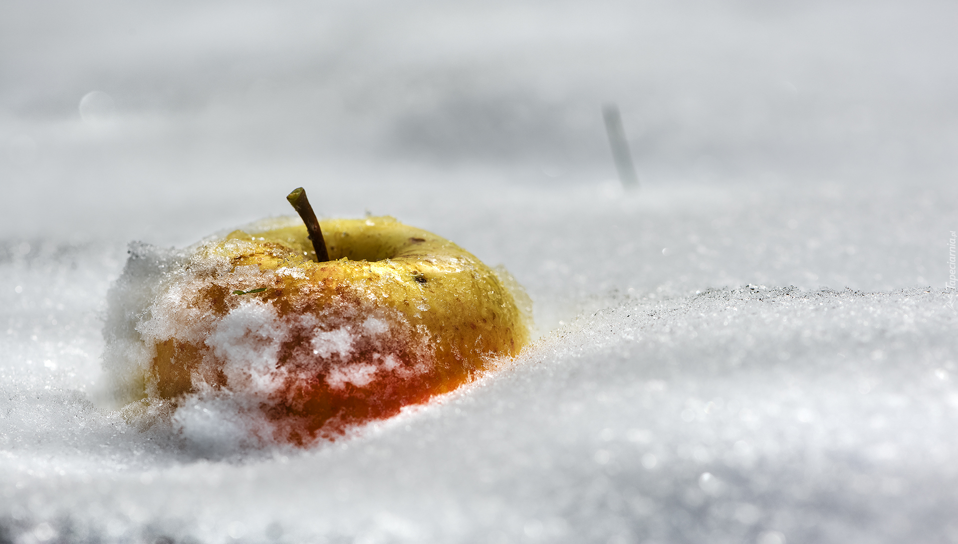 Śnieg, Jabłko