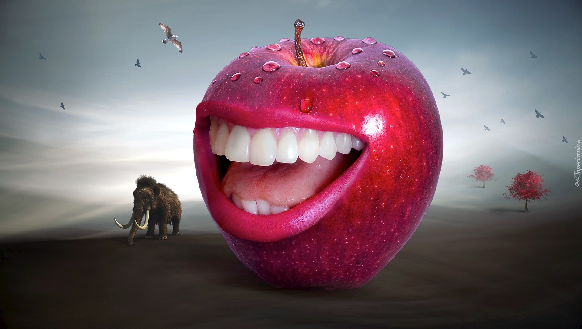 Jabłko, Czerwone, Usta, Zęby, Uśmiech, Drzewo, Ptaki, Mamut, Grafika 2D