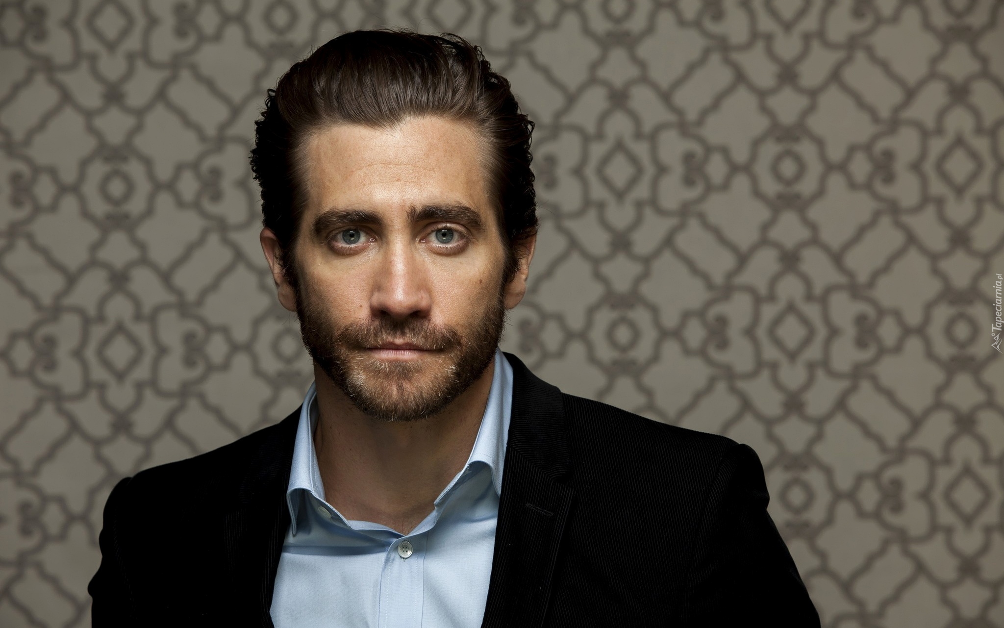 Mężczyzna, Aktor, Jake Gyllenhaal