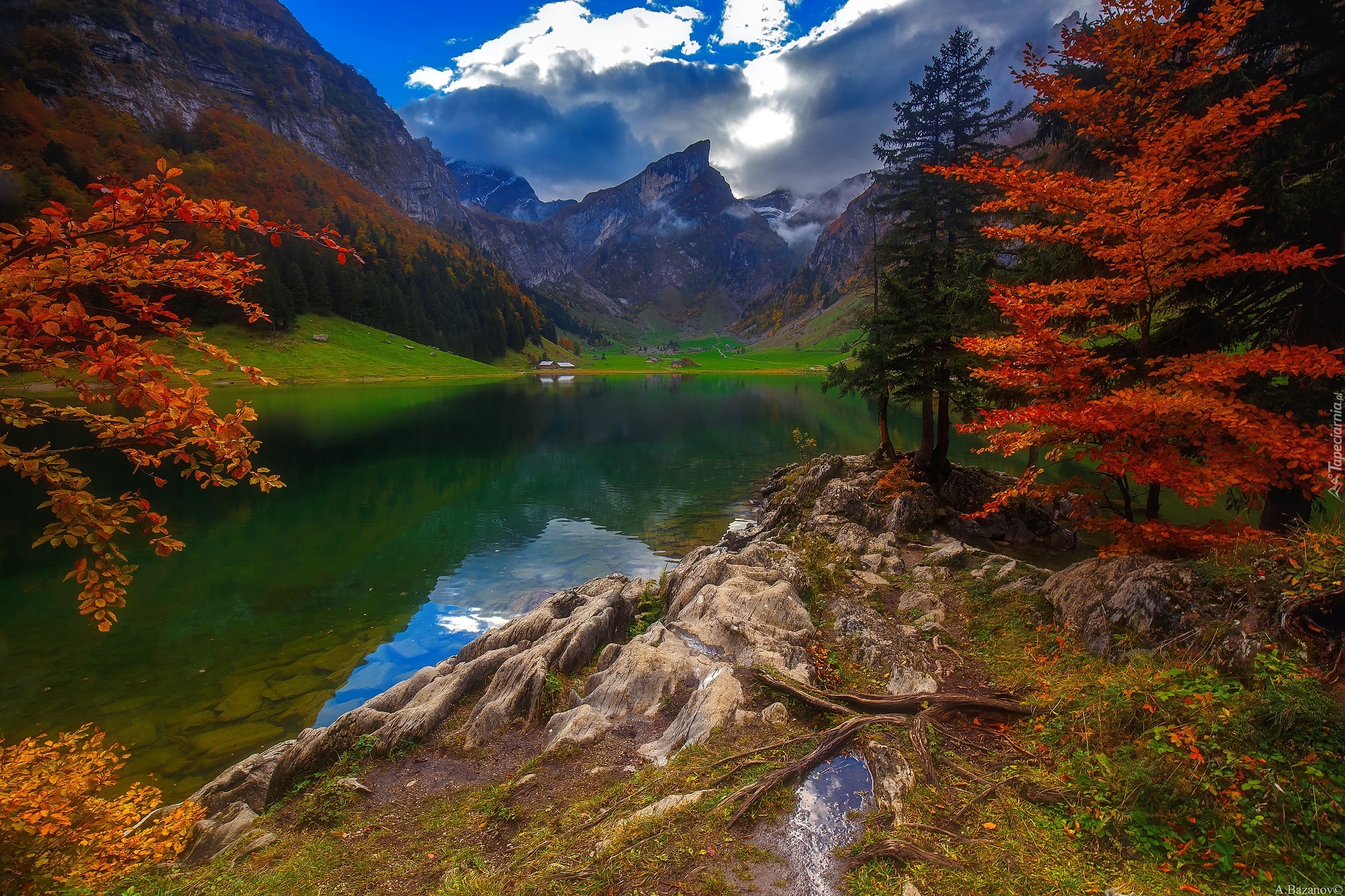 Jezioro, Góry Alpy, Polana, Domy, Drzewa, Jesień