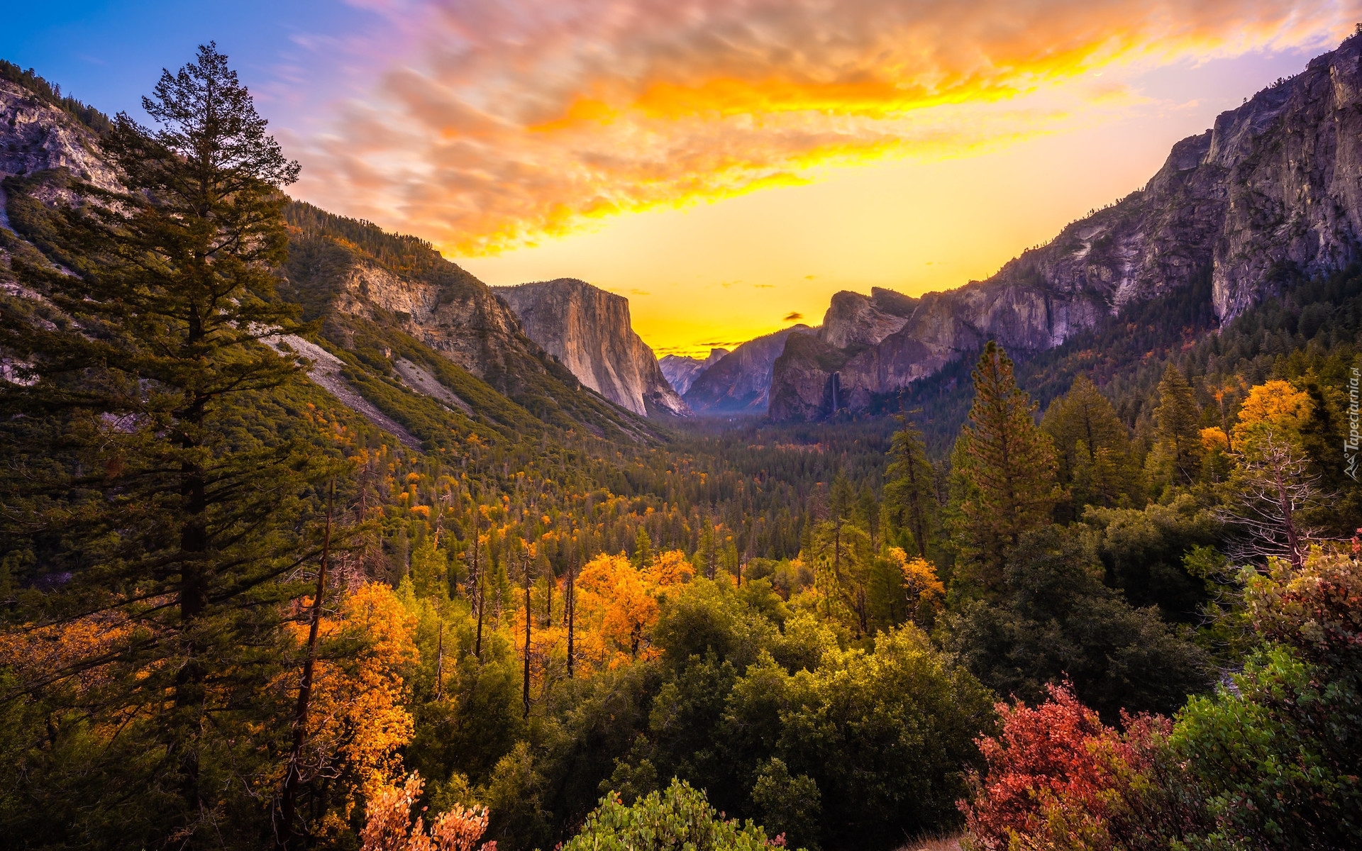 Wschód słońca, Jesień, Drzewa, Krzewy, Góry, Dolina, Yosemite Valley, Park Narodowy Yosemite, Kalifornia, Stany Zjednoczone