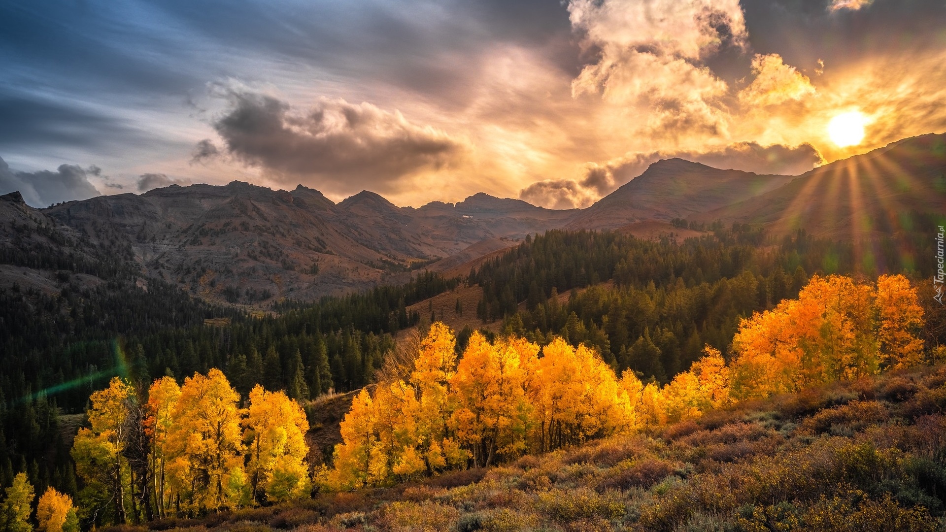 Stany Zjednoczone, Kalifornia, Region Eastern Sierra, Sonora Pass, Jesień, Góry, Chmury, Drzewa, Słońce, Promienie słońca