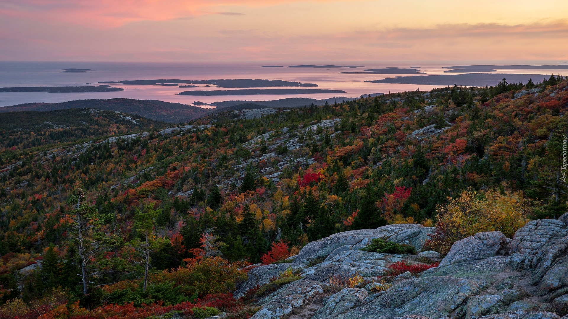 Park Narodowy Acadia, Zachód słońca, Skały, Morze, Jesień, Drzewa, Lasy, Stan Maine, Stany Zjednoczone