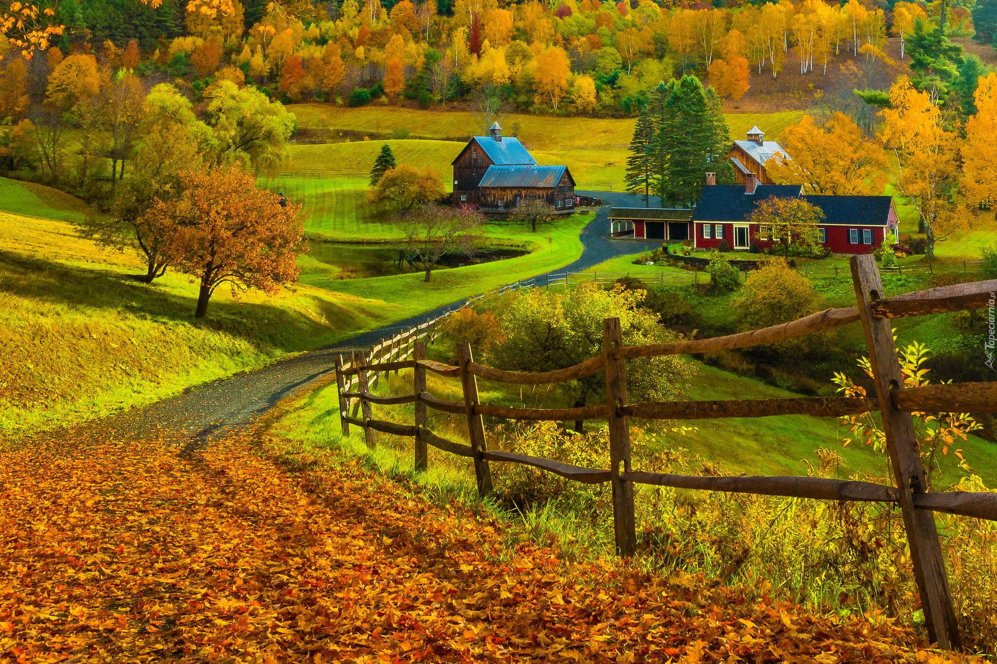 Jesień, Droga, Ogrodzenie, Staw, Domy, Drzewa, Opadłe, Liście, Pomfret, Nowa Anglia, Stan Vermont, Stany Zjednoczone