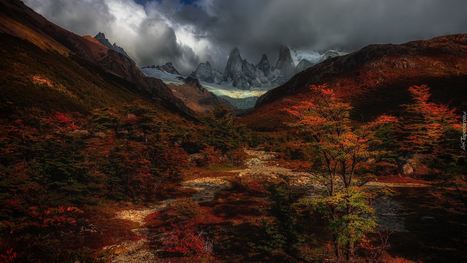 Argentyna, Patagonia, Góry, Chmury, Drzewa, Jesień, Góry, Szczyt, Fitz Roy, Park Narodowy Los Glaciares