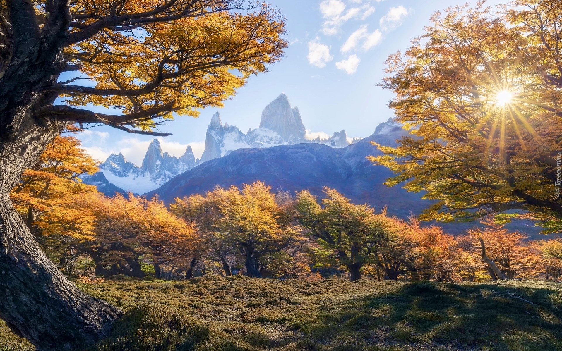 Argentyna, Patagonia, Góry, Fitz Roy, Jesień, Drzewa, Promienie słońca