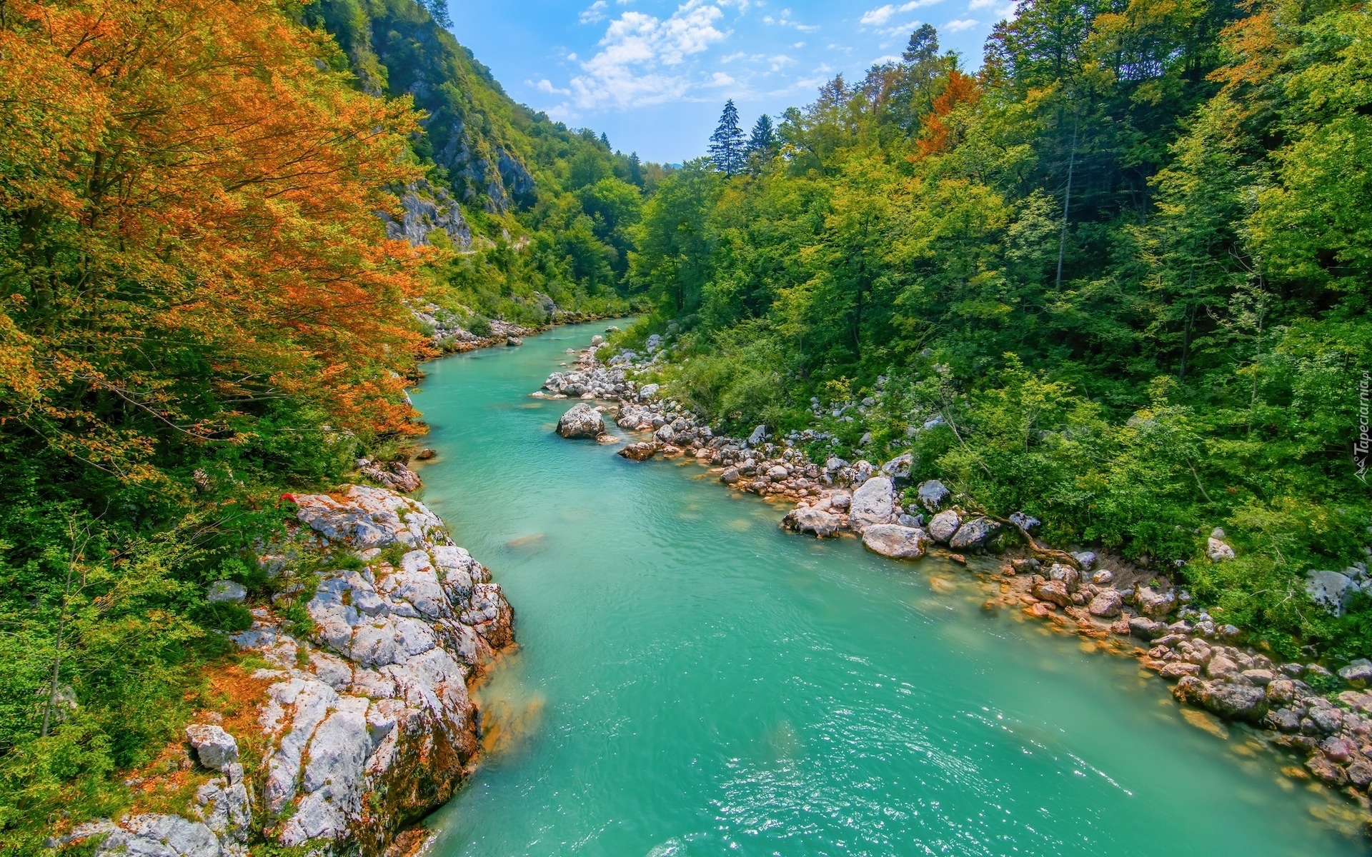 Słowenia, Triglavski Park Narodowy, Rzeka Socza, Skały, Jesień, Drzewa