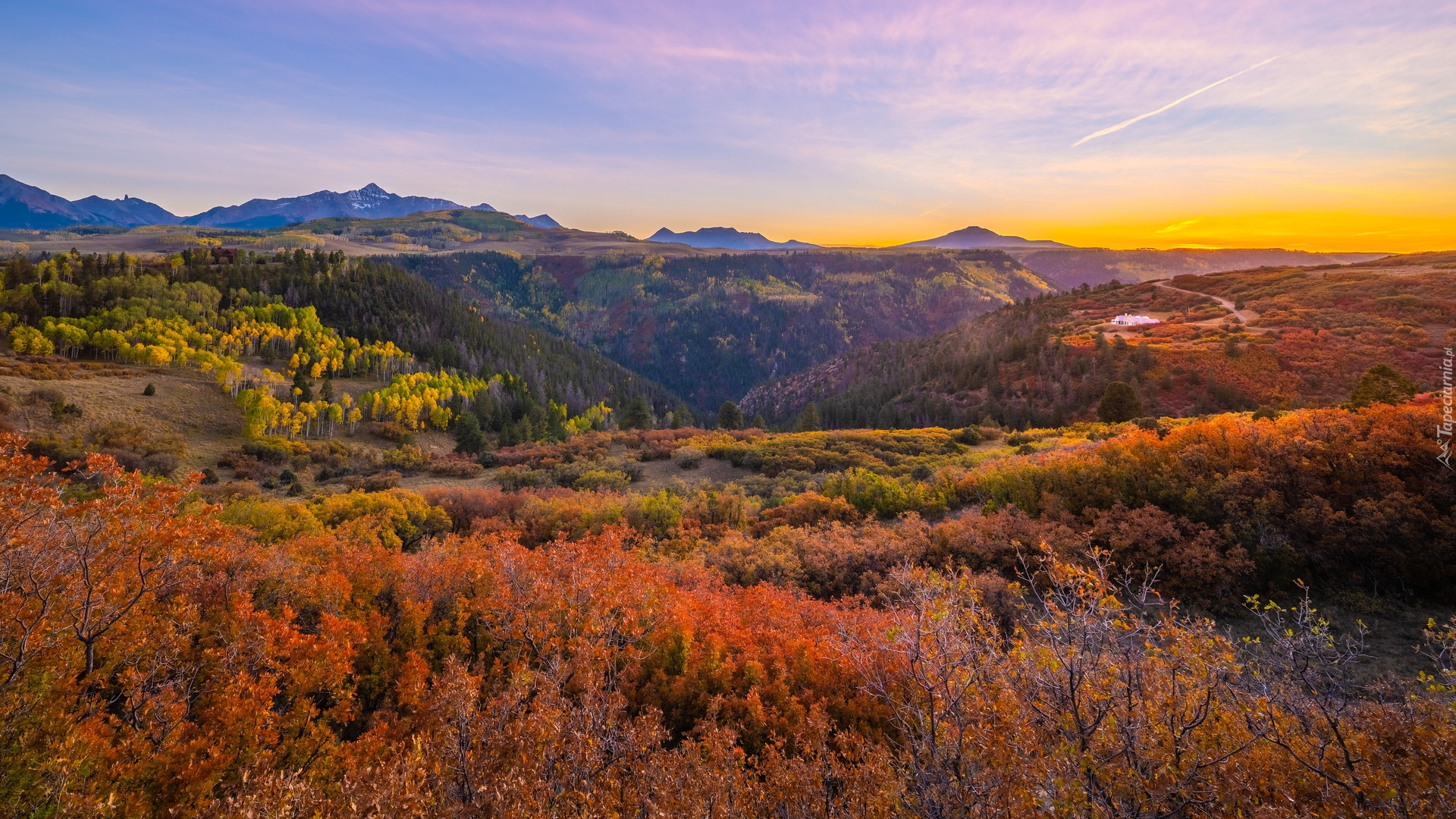 Jesień, Góry, San Juan Mountains, Drzewa, Lasy, Kolorowe, Krzewy, Kolorado, Stany Zjednoczone
