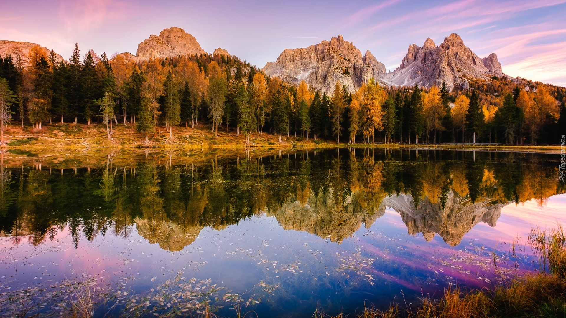 Jezioro, Antorno Lake, Góry, Dolomity, Jesień, Drzewa, Las, Prowincja Belluno, Włochy