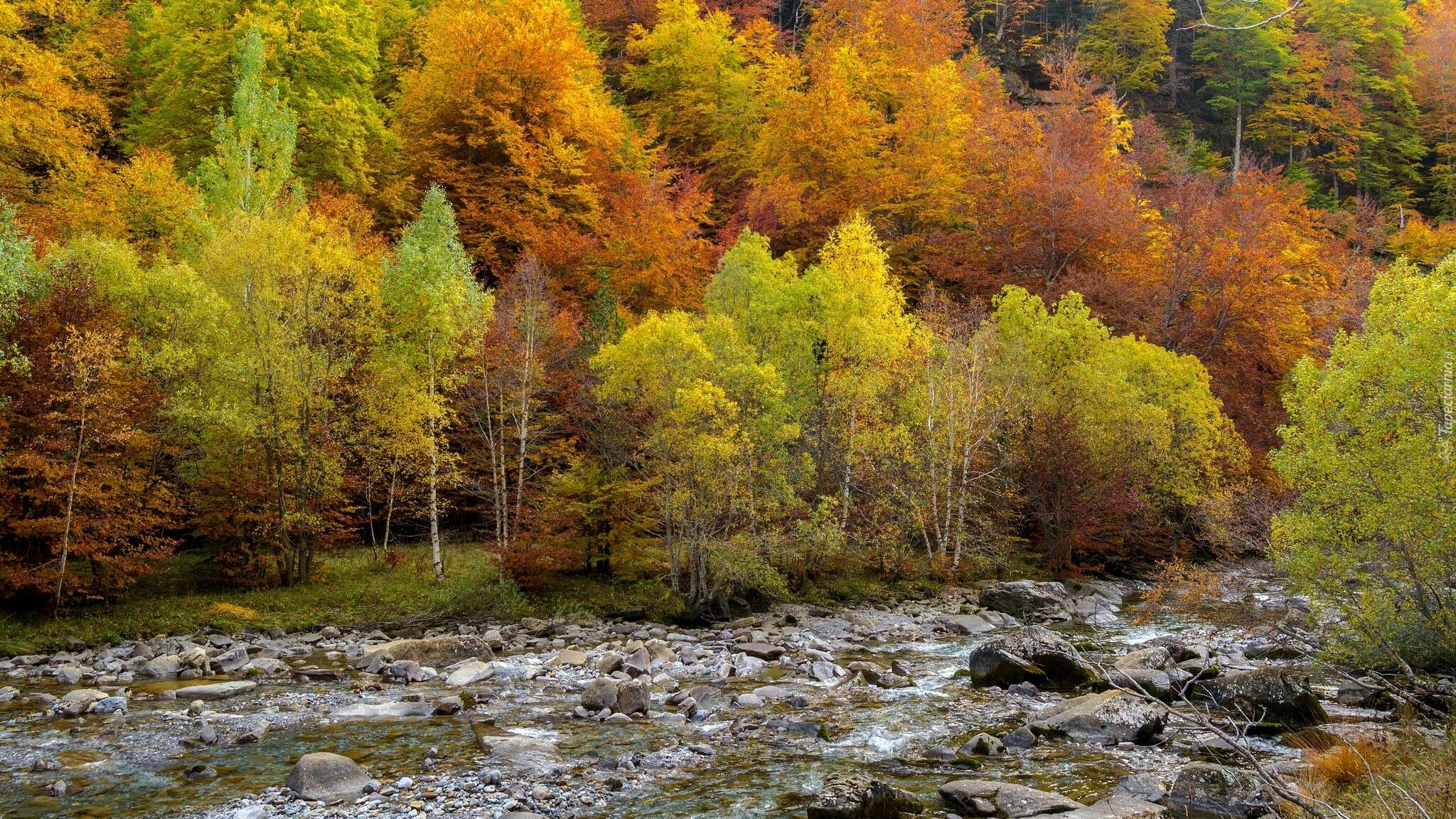 Jesień, Rzeka, Drzewa, Kamienie