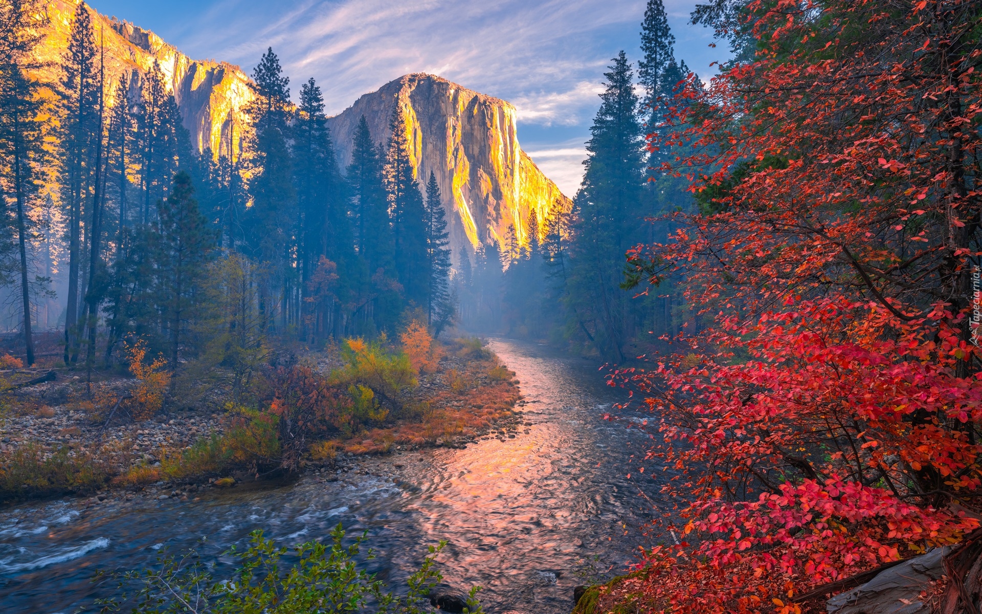 Stany Zjednoczone, Kalifornia, Park Narodowy Yosemite, Jesień, Rzeka Merced, Mgła, Drzewa, Góry
