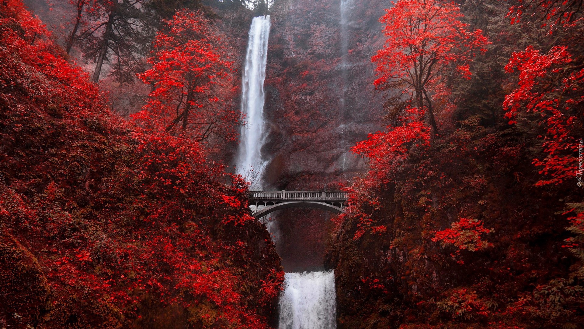Wodospad, Multnomah Falls, Drzewa, Most, Stan Oregon, Stany Zjednoczone