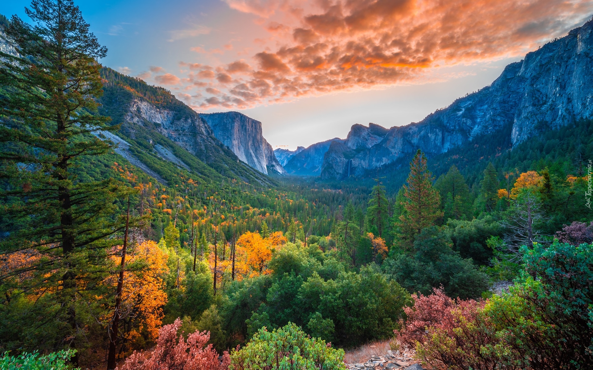 Stany Zjednoczone, Kalifornia, Park Narodowy Yosemite, Góry, Yosemite Valley, Dolina, Jesień, Drzewa, Chmury