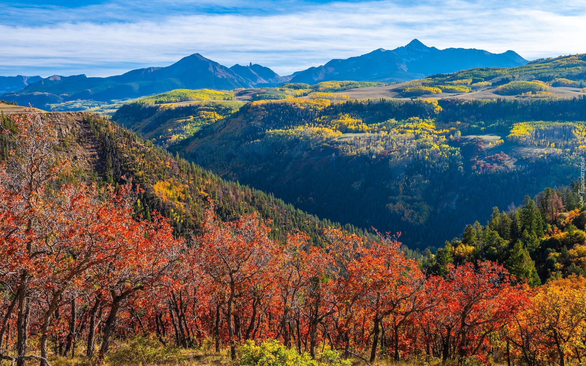 Jesień, Góry, San Juan Mountains, Dolina, Drzewa, Lasy, Kolorowe, Krzewy, Telluride, Kolorado, Stany Zjednoczone