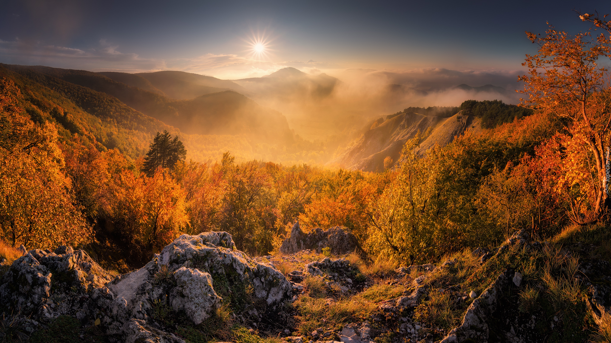 Góry, Promienie słońca, Jesień, Skała, Drzewa, Roślinność, Mgła