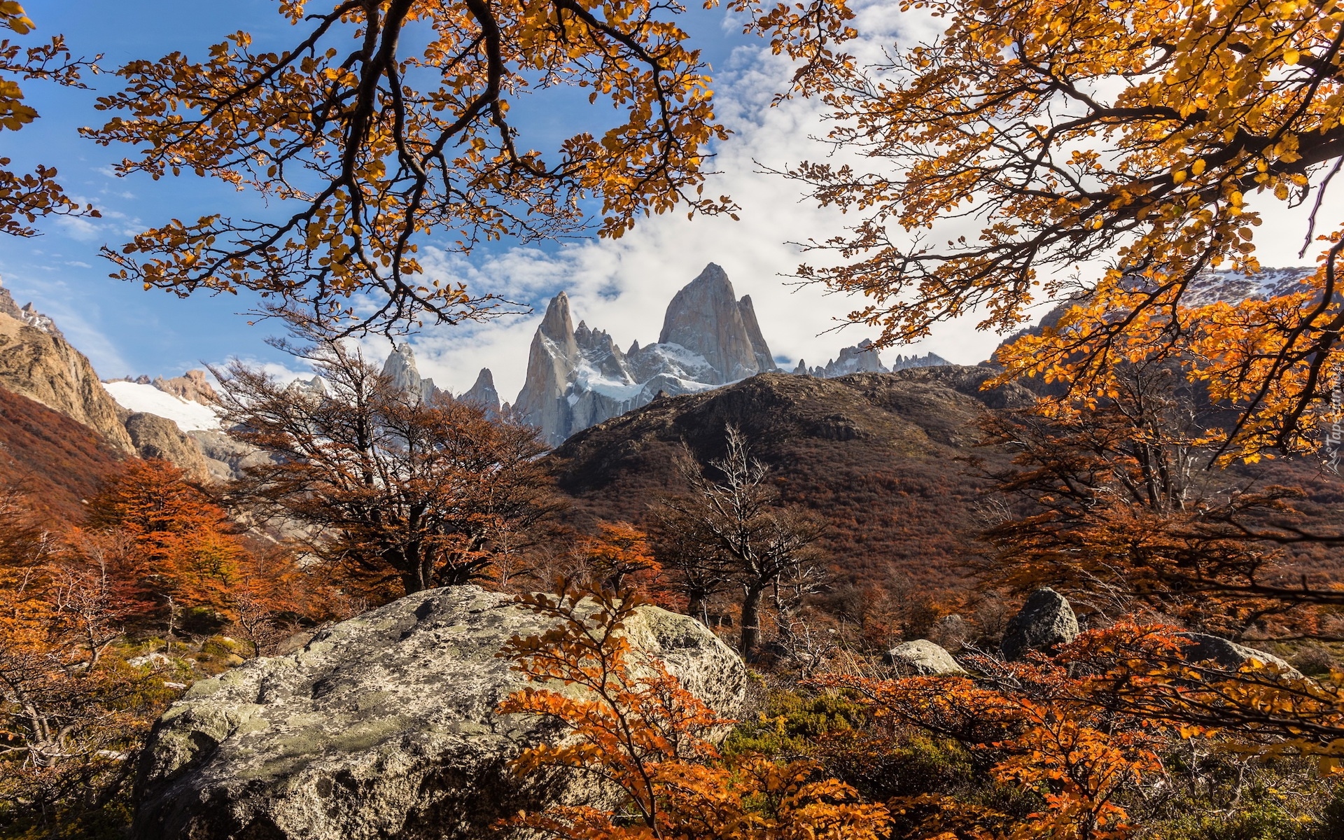 Argentyna, Patagonia, Góry Andy, Szczyt Fitz Roy, Drzewa, Jesień, Skały