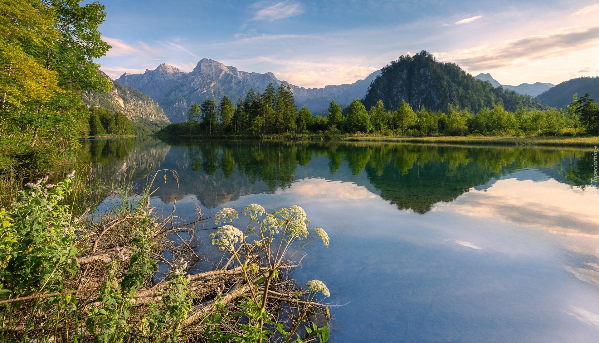 Góry, Jezioro Almsee, Odbicie, Drzewa, Chmury, Austria