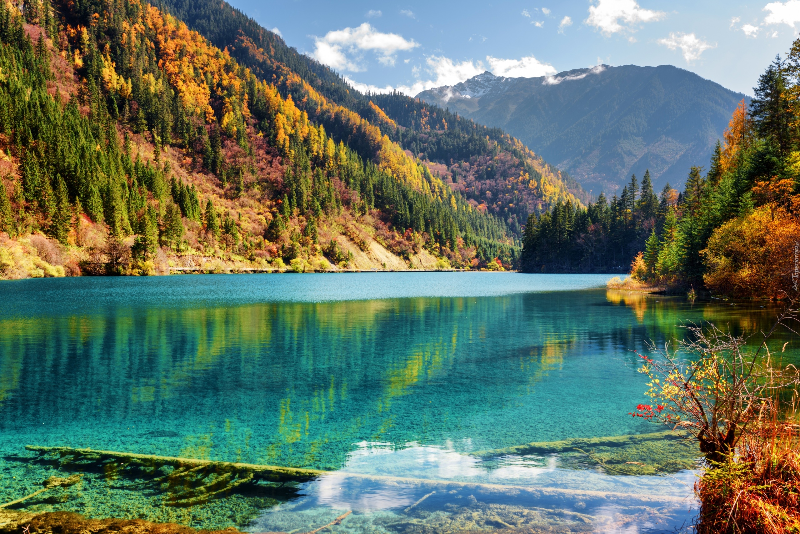  Chiny, Park Narodowy Jiuzhaigou, Jesień, Las, Góry, Jezioro Arrow Bamboo, Drzewa