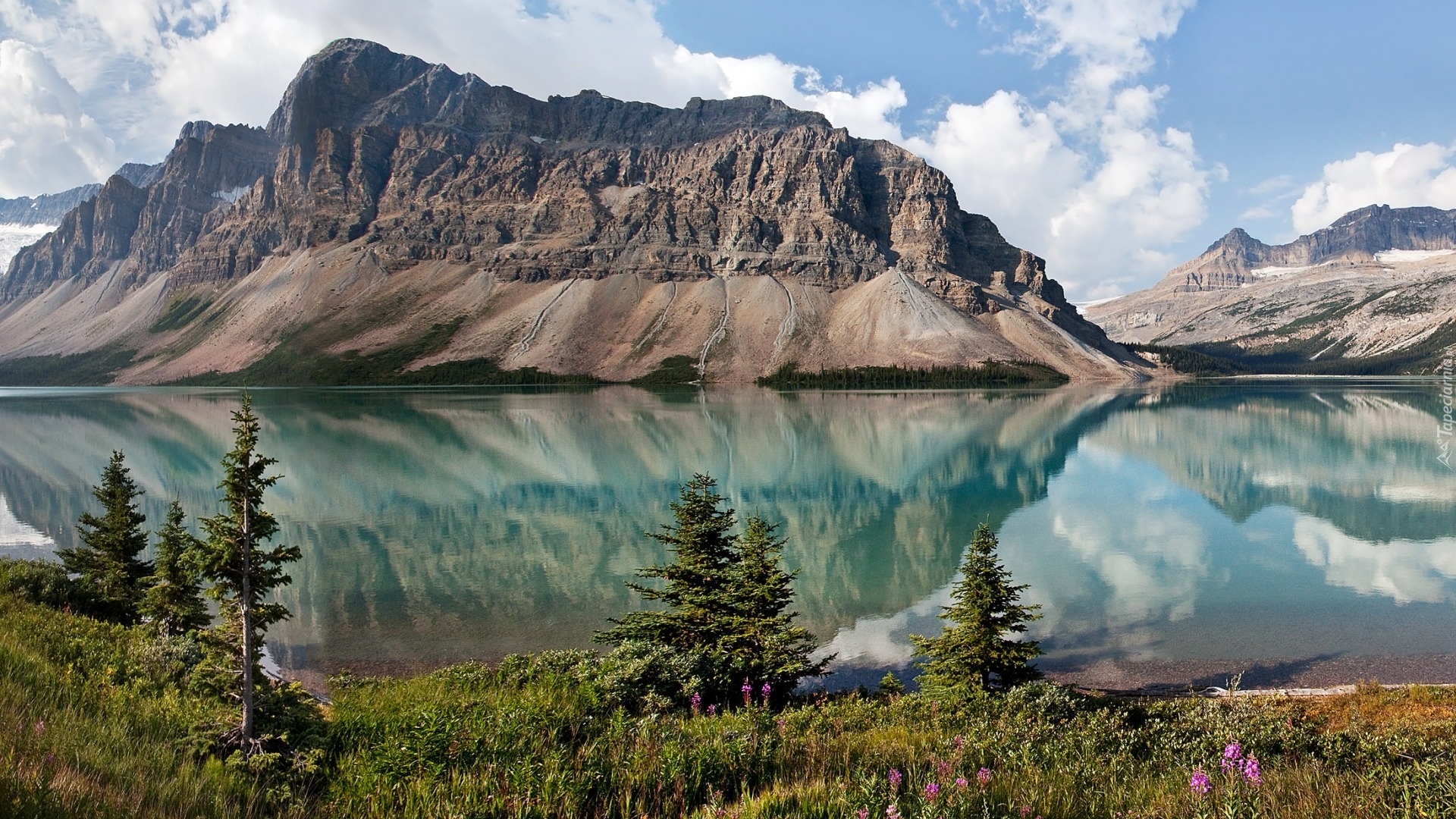 Kanada, Prowincja Alberta, Park Narodowy Banff, Jezioro Bow Lake, Góra Crowfoot Mountain, Roślinność