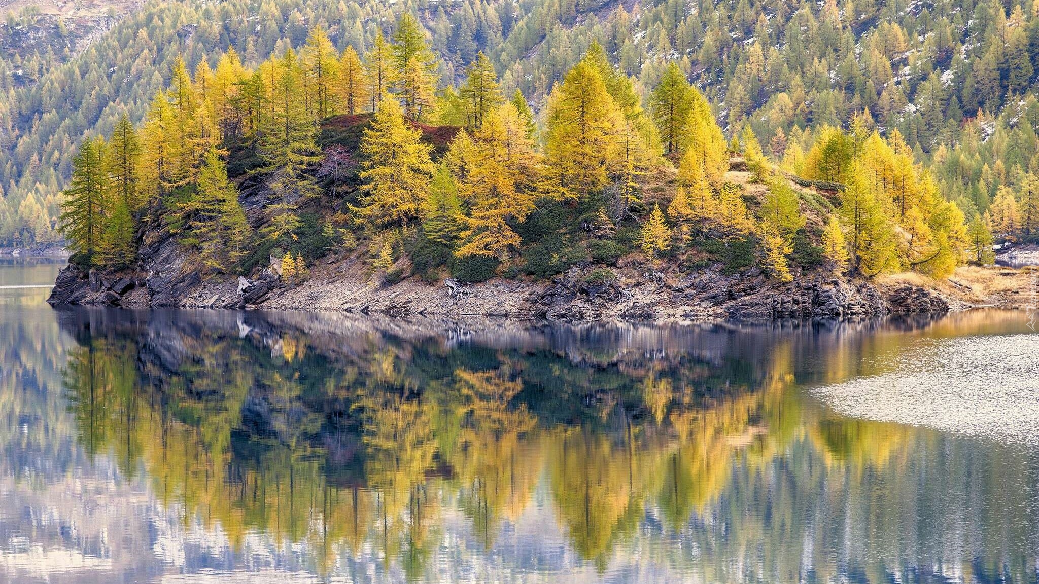 Włochy, Park przyrody Alpe Veglia i Alpe Devero, Jezioro Dévero - Lago di Devero, Drzewa, Odbicie