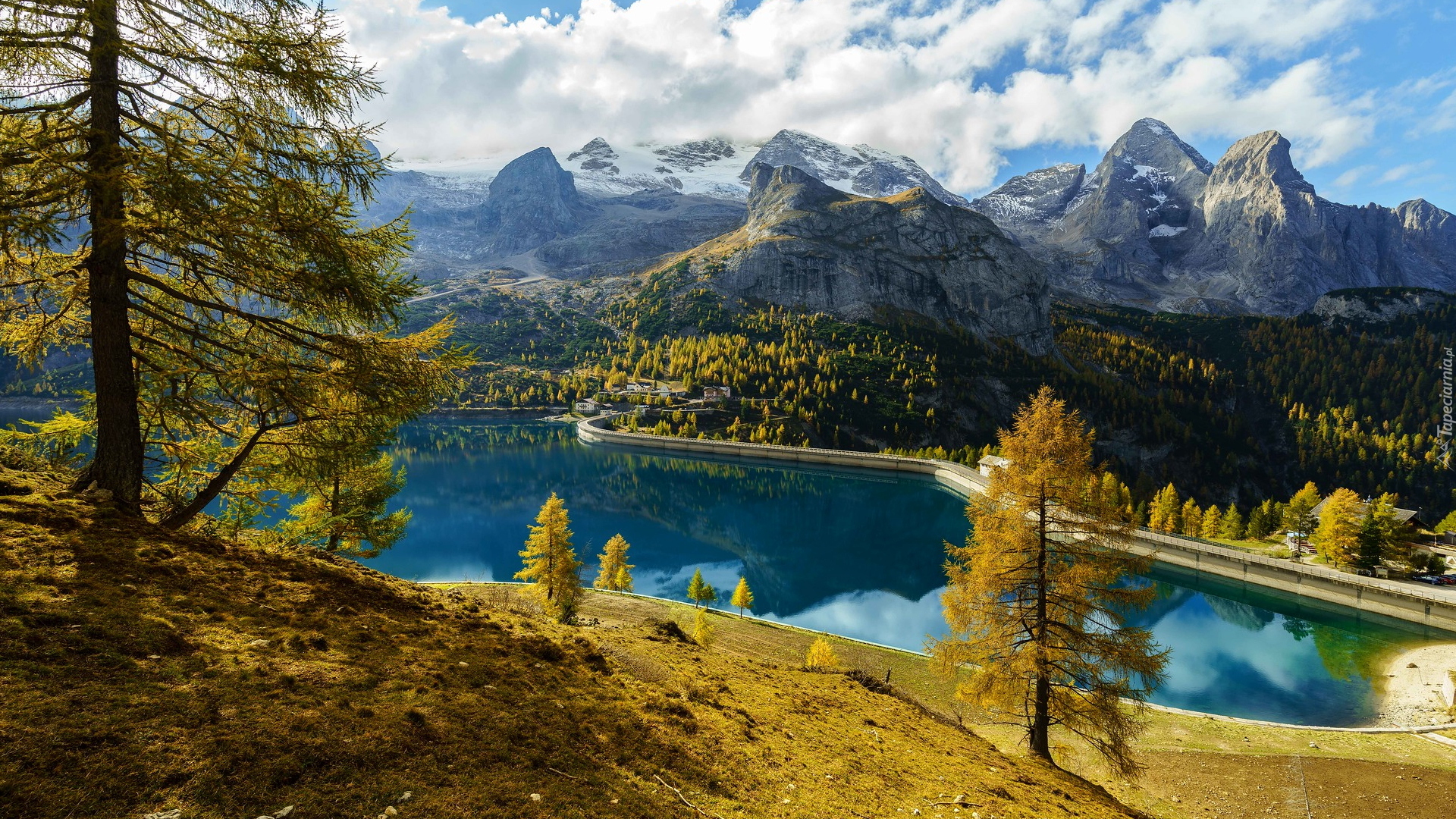 Jezioro, Fedaia Lake, Góry, Drzewa, Prowincja Belluno, Włochy