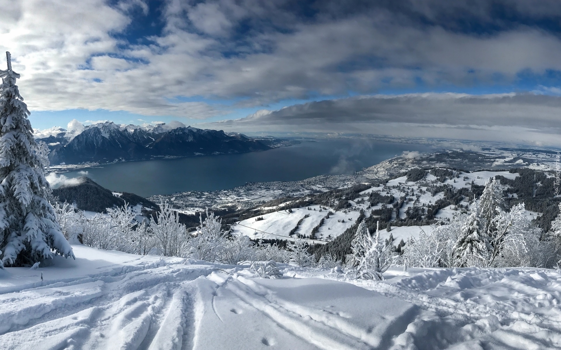 Zima, Śnieg, Drzewa, Góry Alpy, Jezioro Genewskie, Montreux, Szwajcaria